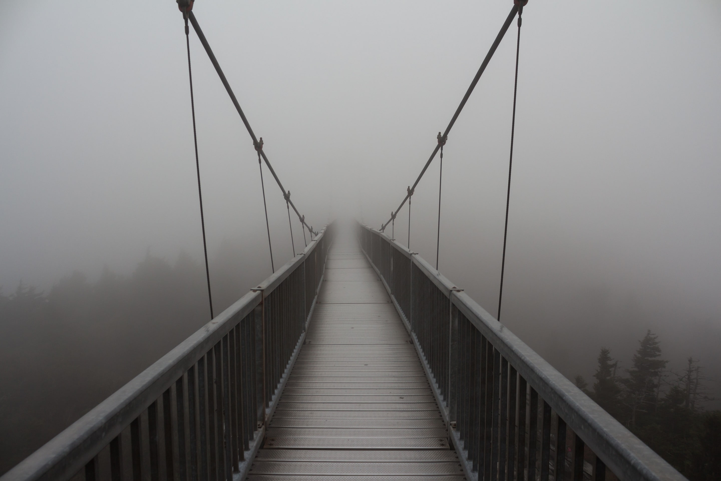 bridge, mist