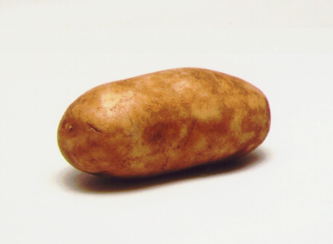 potato