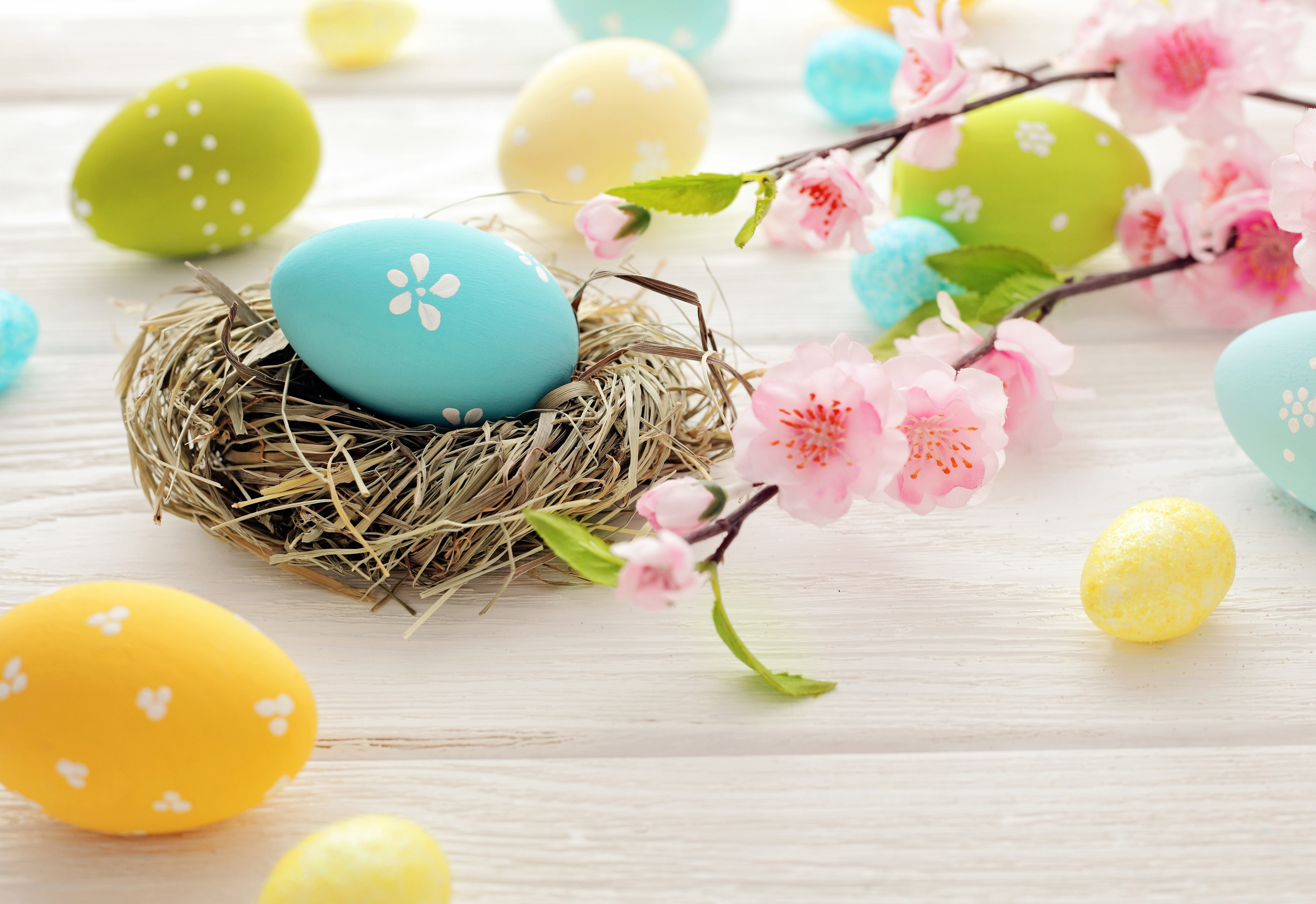 flowers, eggs, Easter, socket, spring
