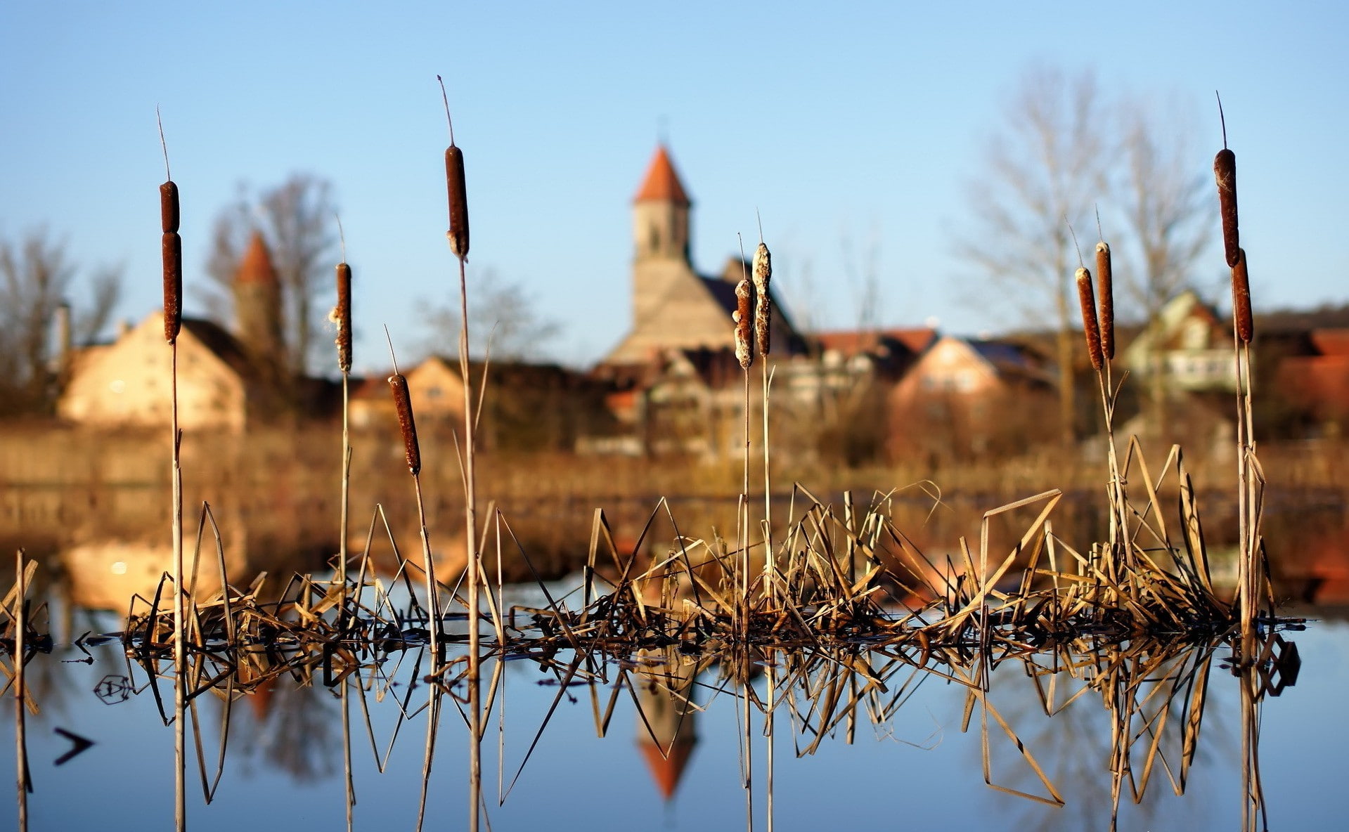 house, landscape, nature, reflection, Spikelets, water, plant