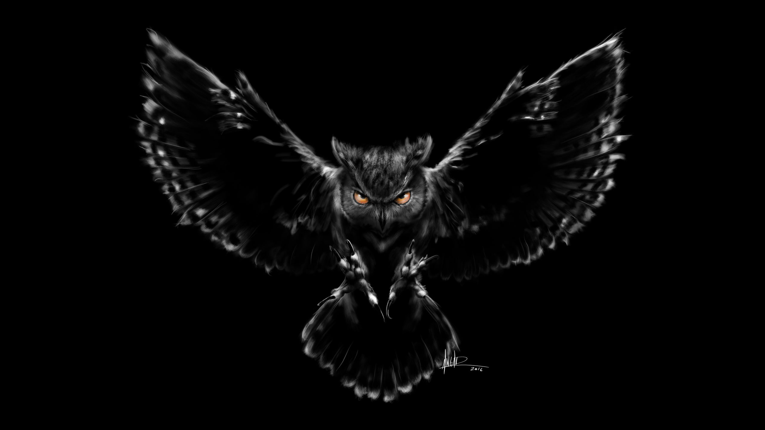 Nightmare, Owl, Black, Scary