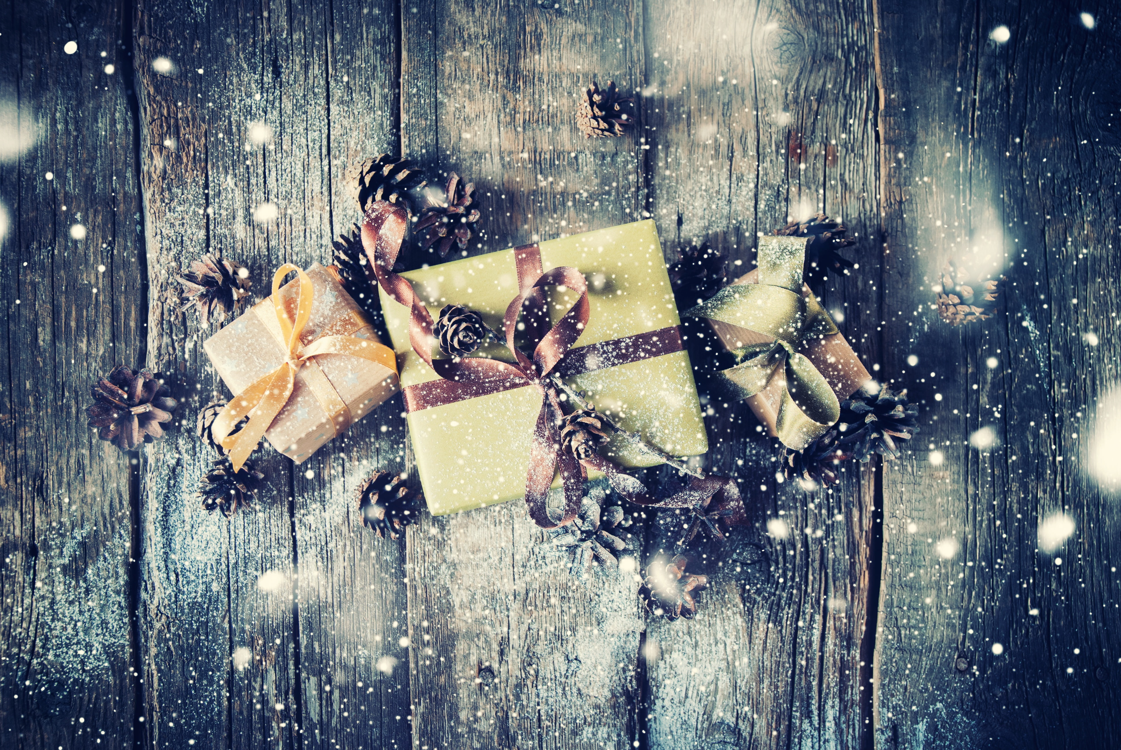 Misc, Gift, Pine Cone