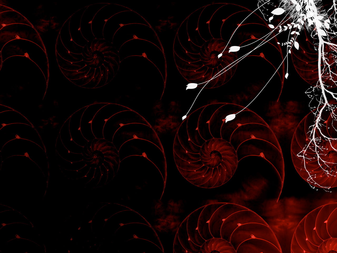 Vector HD, artistic
