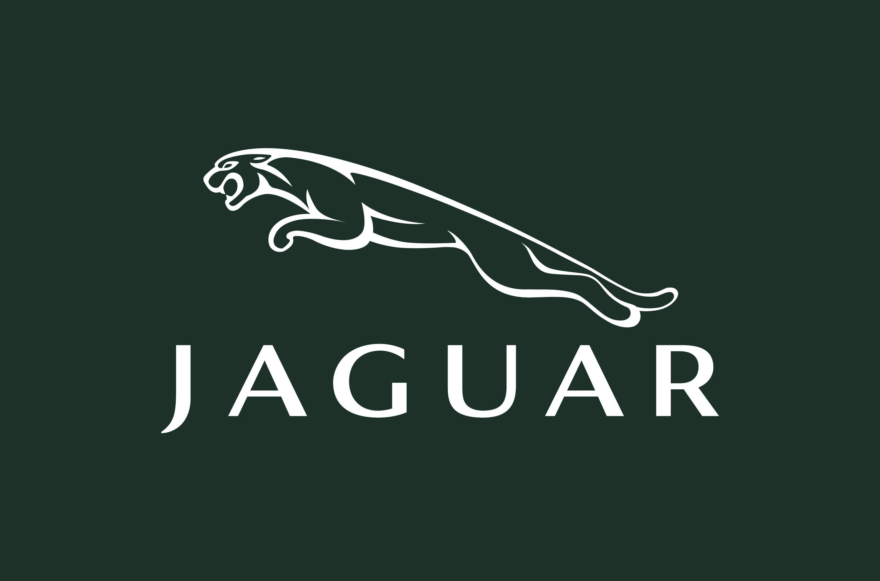 the inscription, Jaguar, logo, green, fon