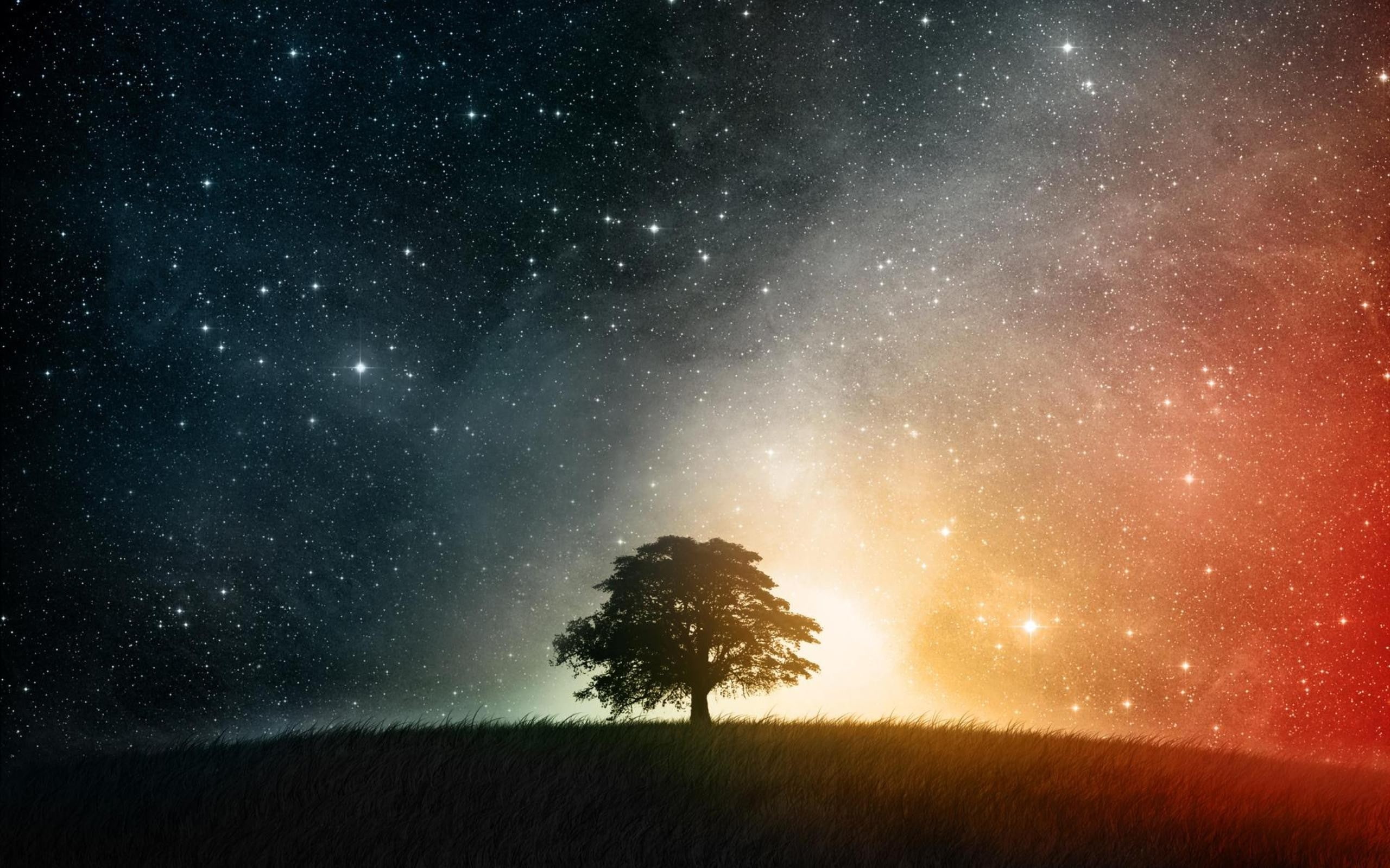 outer space trees night colorful stars fantasy art creative artwork photomanipulations 2560x1600 Abstract Fantasy HD Art