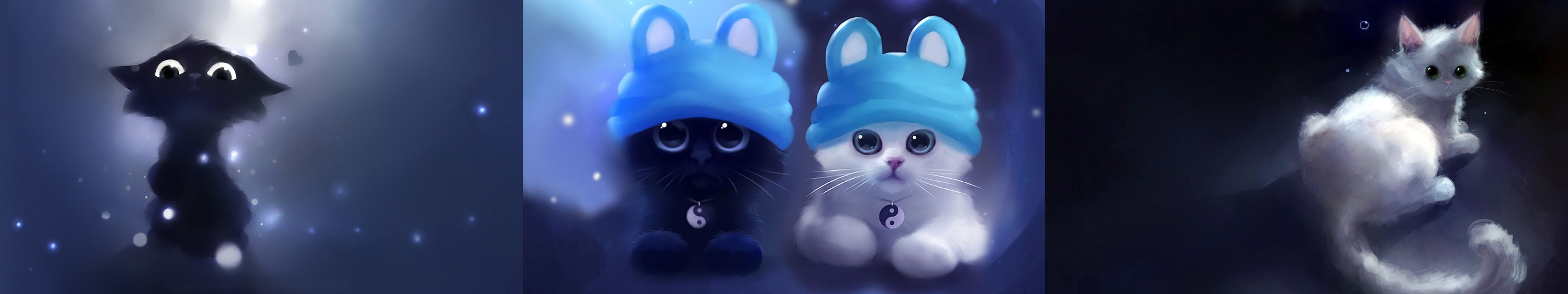 Free download | HD wallpaper: apofiss, black, cat, chat, chaton, cute ...