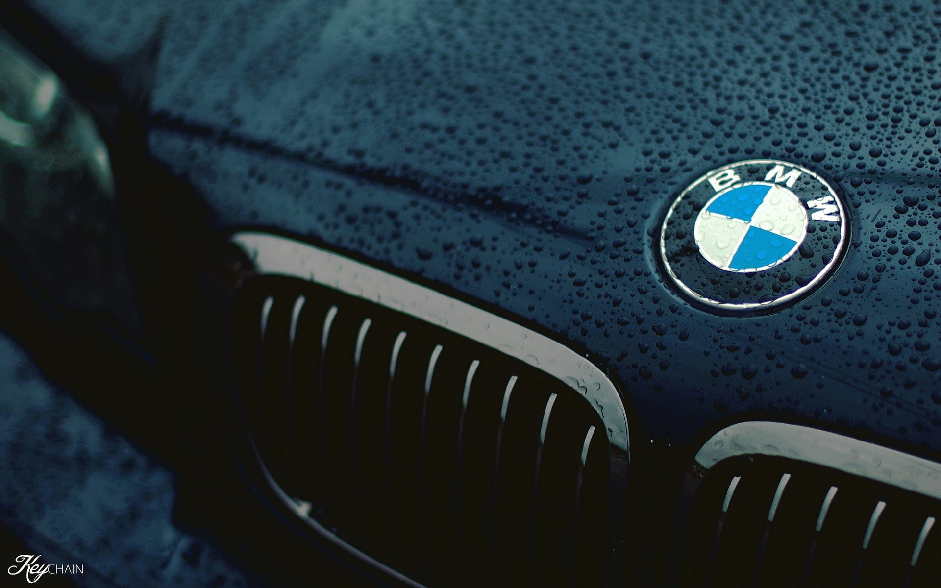 black, bmw, car, closeup, logo, Water Drops, wet