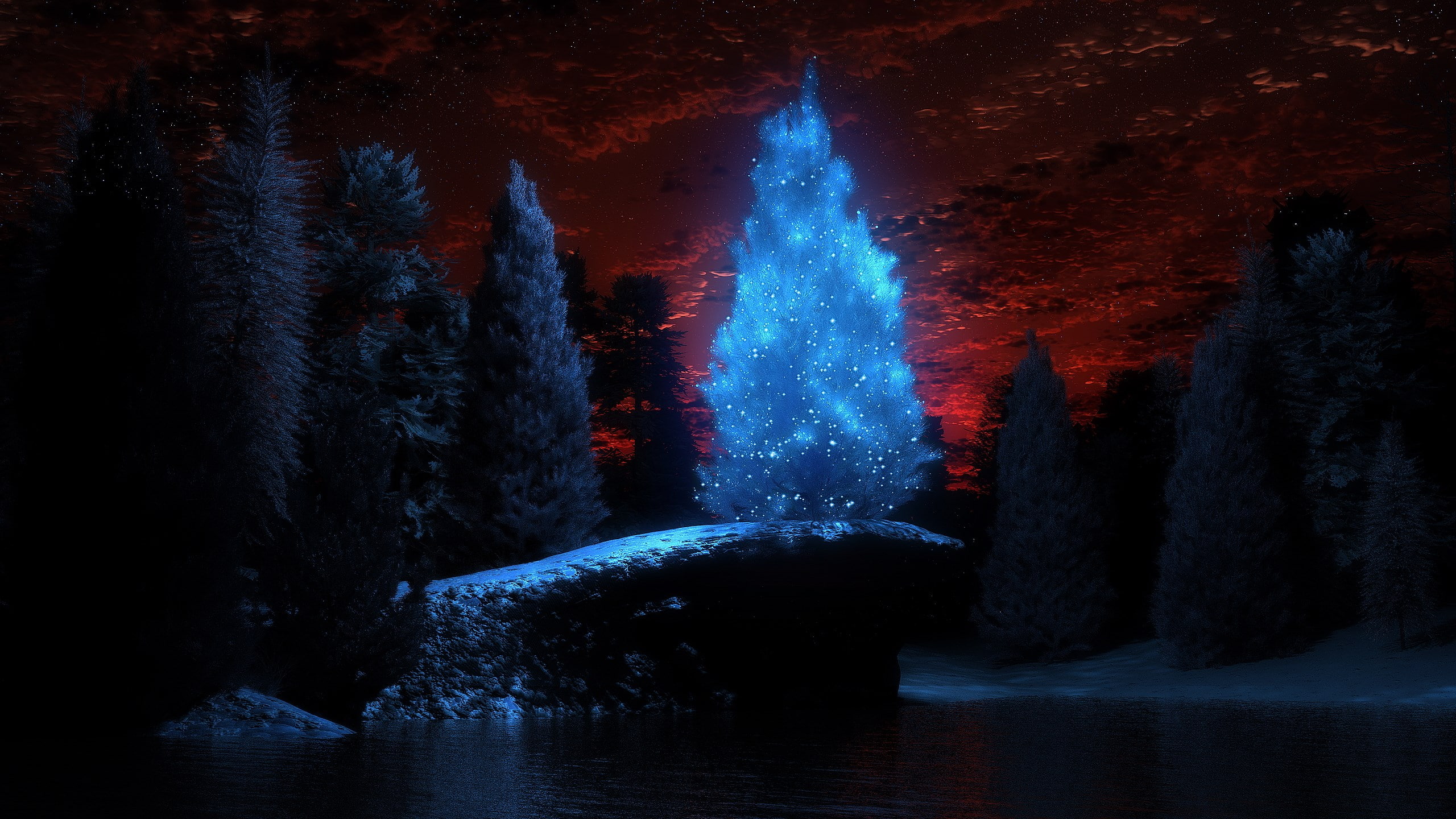 widescreen nature 2560x1440, night, water, tree, illuminated