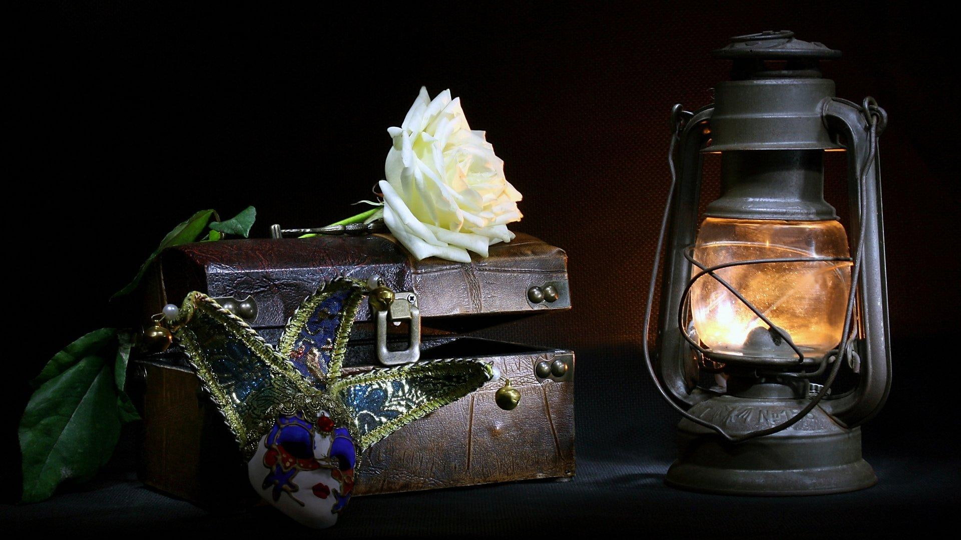 Remembering Your Love?, lantern, mask, white, rose, theater, entertainment