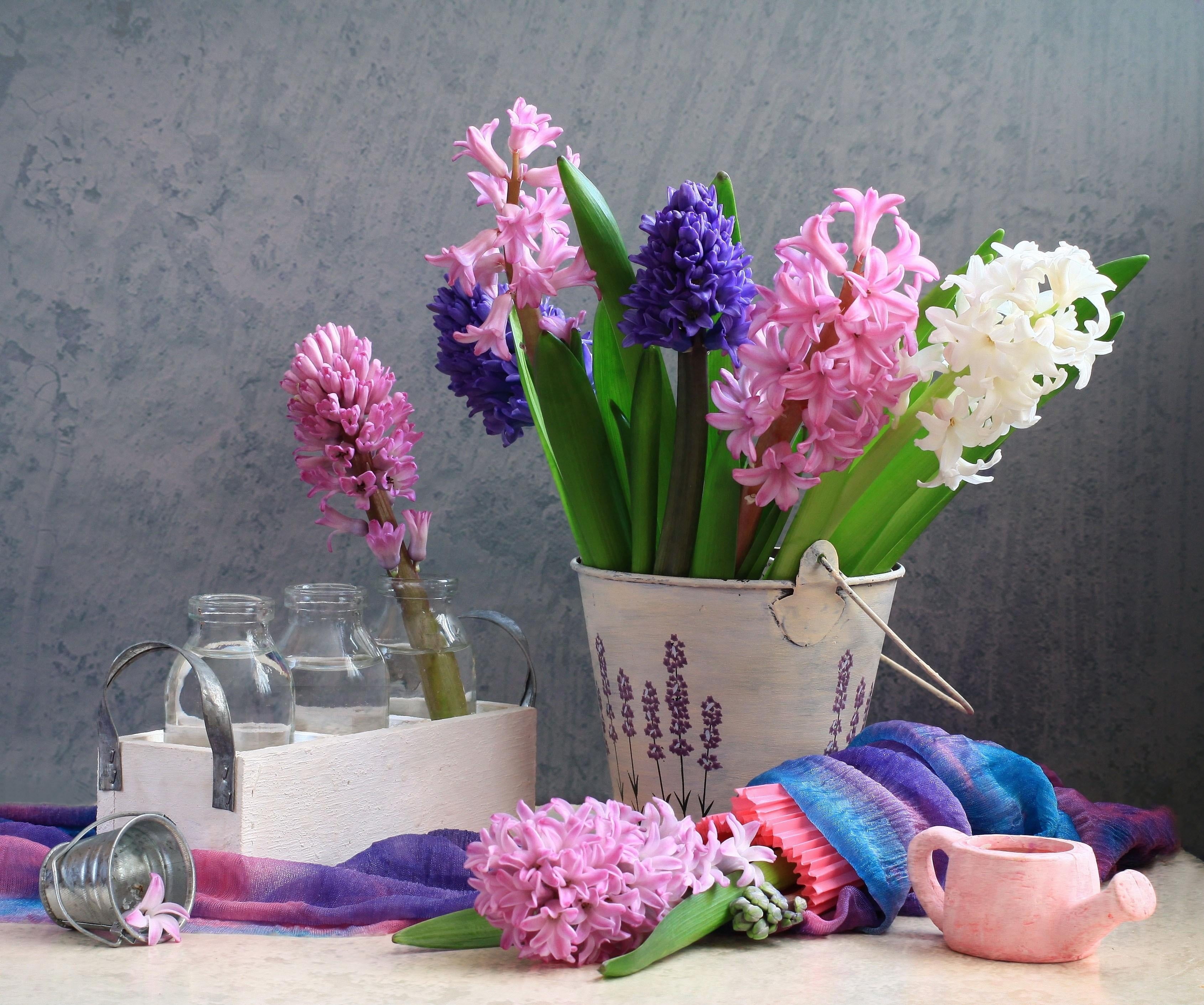 assorted flowers, hyacinths, spring, bucket, bottle, watering can
