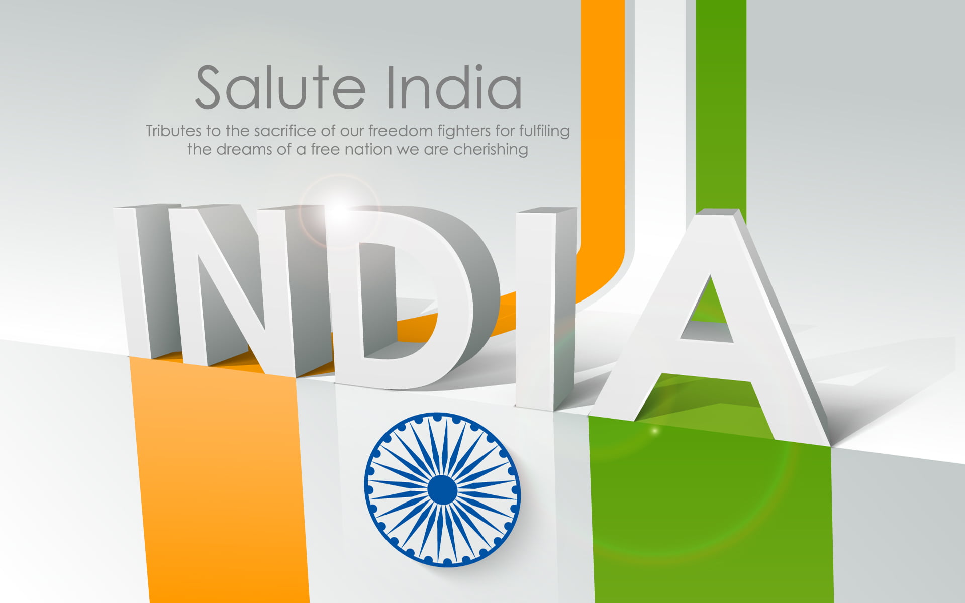 Salute India Republic Day, India text overlay, Festivals / Holidays