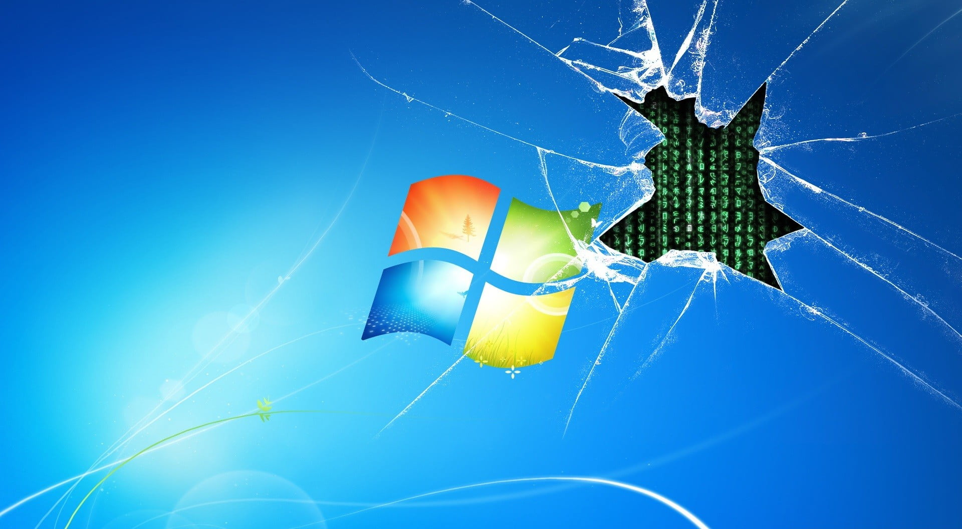 Microsoft logo, Windows 7, blue, invertebrate, nature, close-up