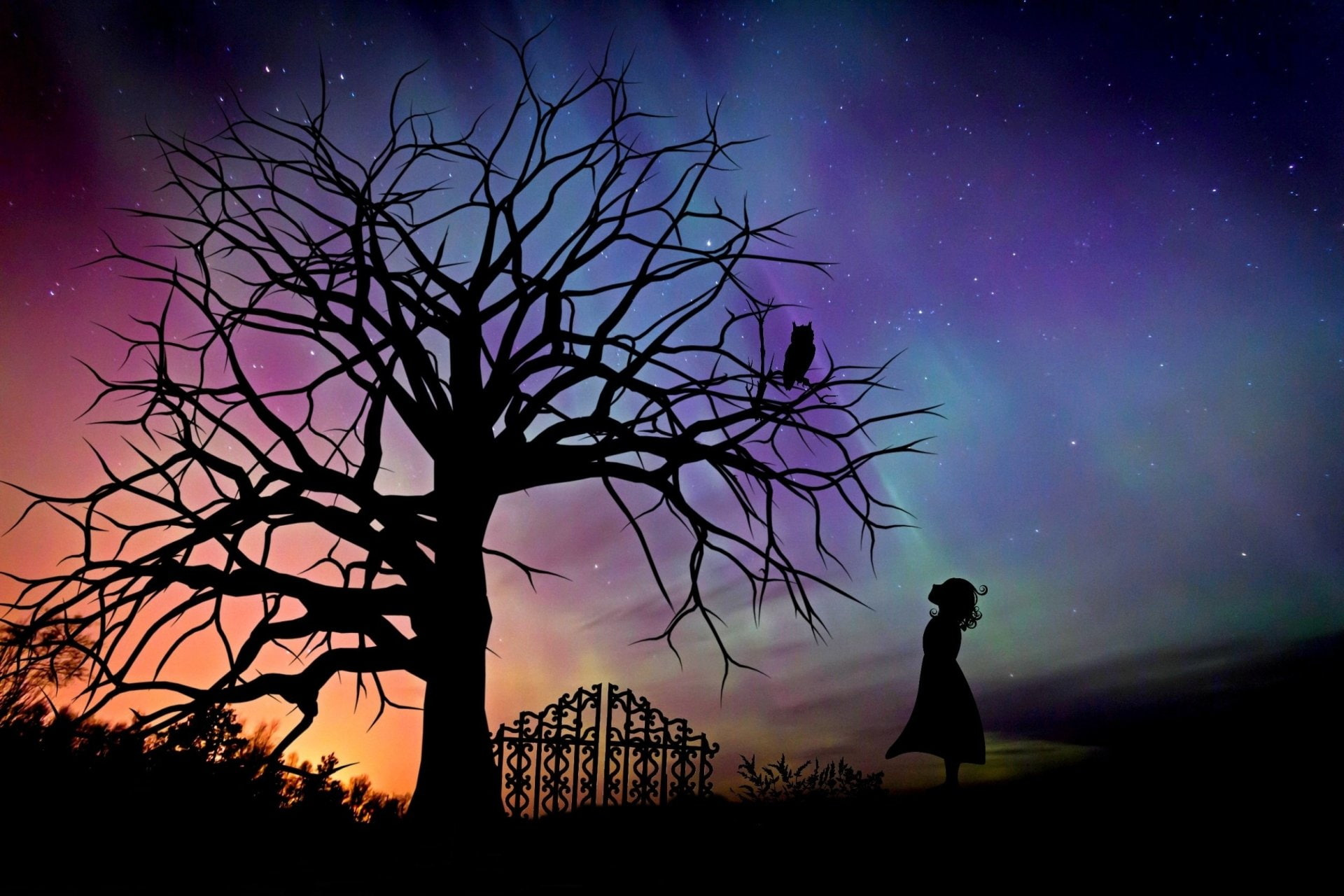 Fantasy, Child, Girl, Little Girl, Night, Owl, Silhouette, Starry Sky