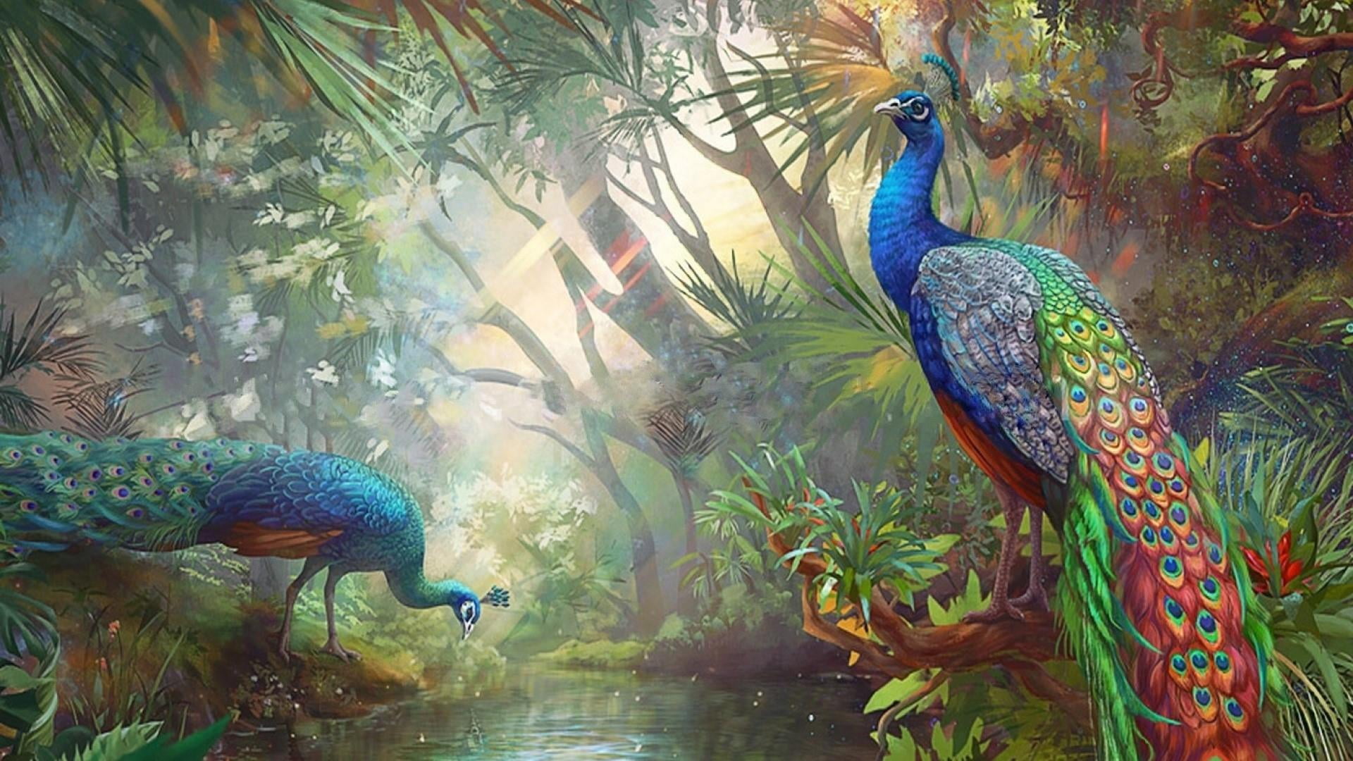 peafowl, peacock, bird, birds, painting, painting art, wildlife