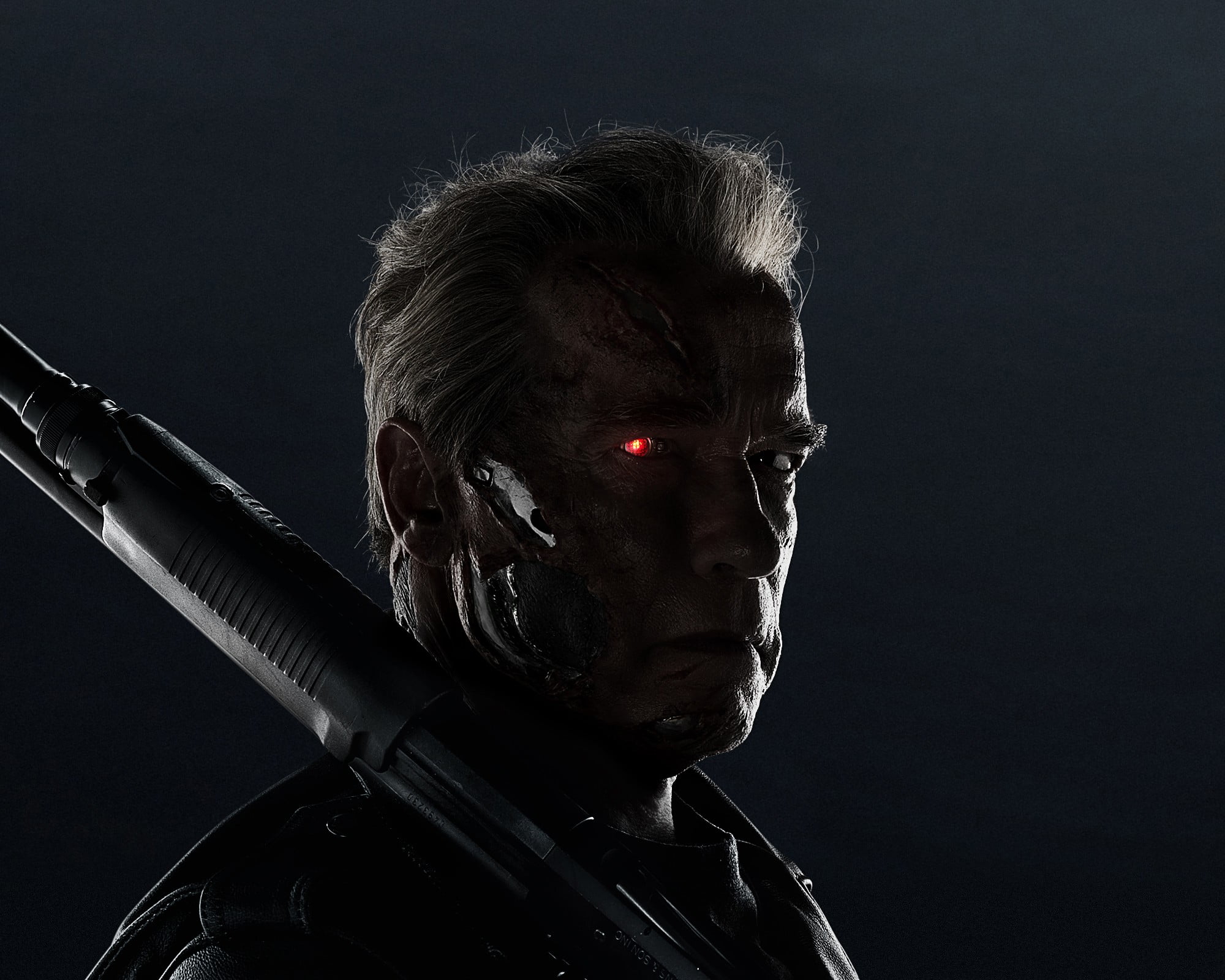 Terminator by Arnold Schwarzenegger, Terminator Genisys, cyborg
