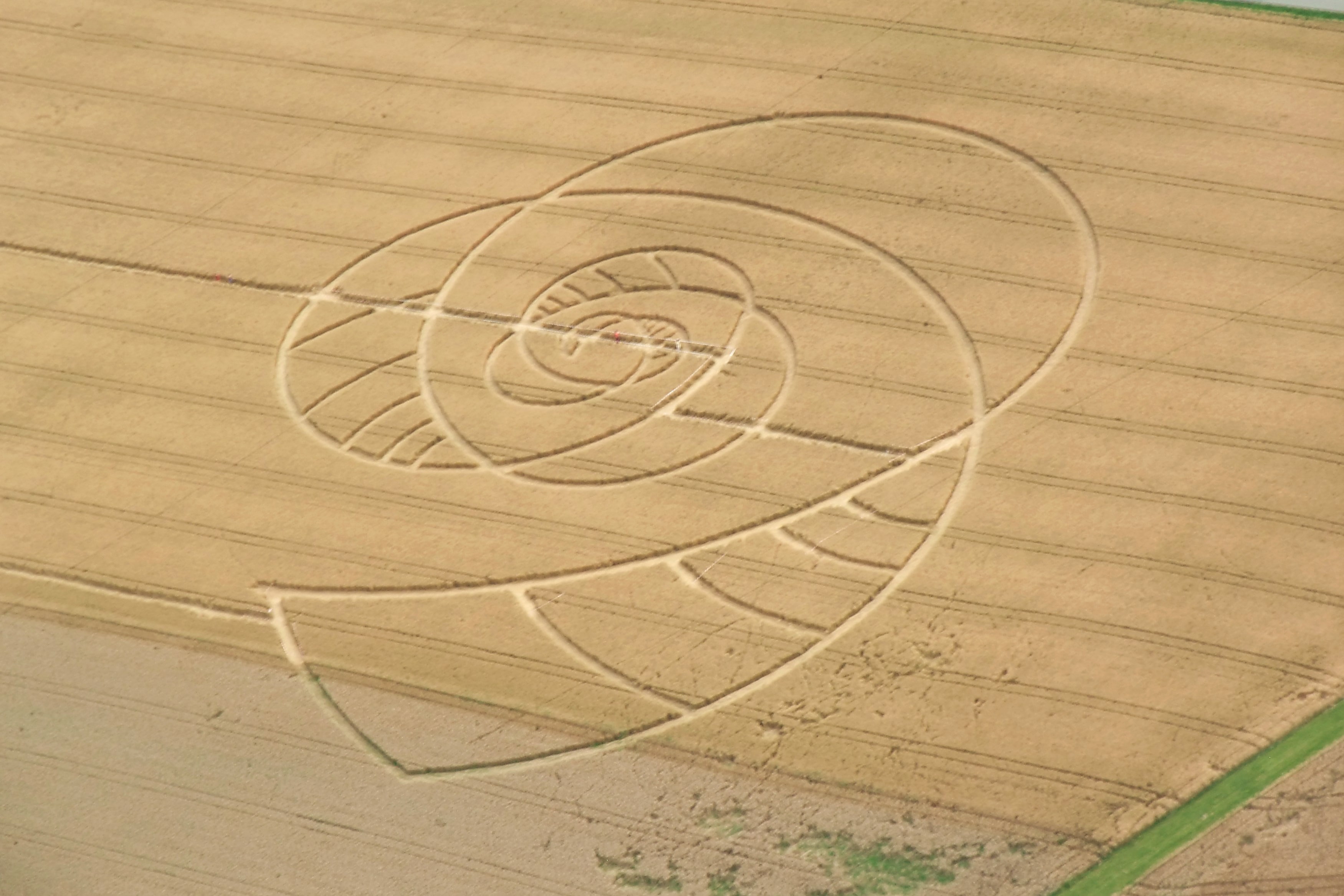 crop circles, geometric shape, pattern, wood - material, sport