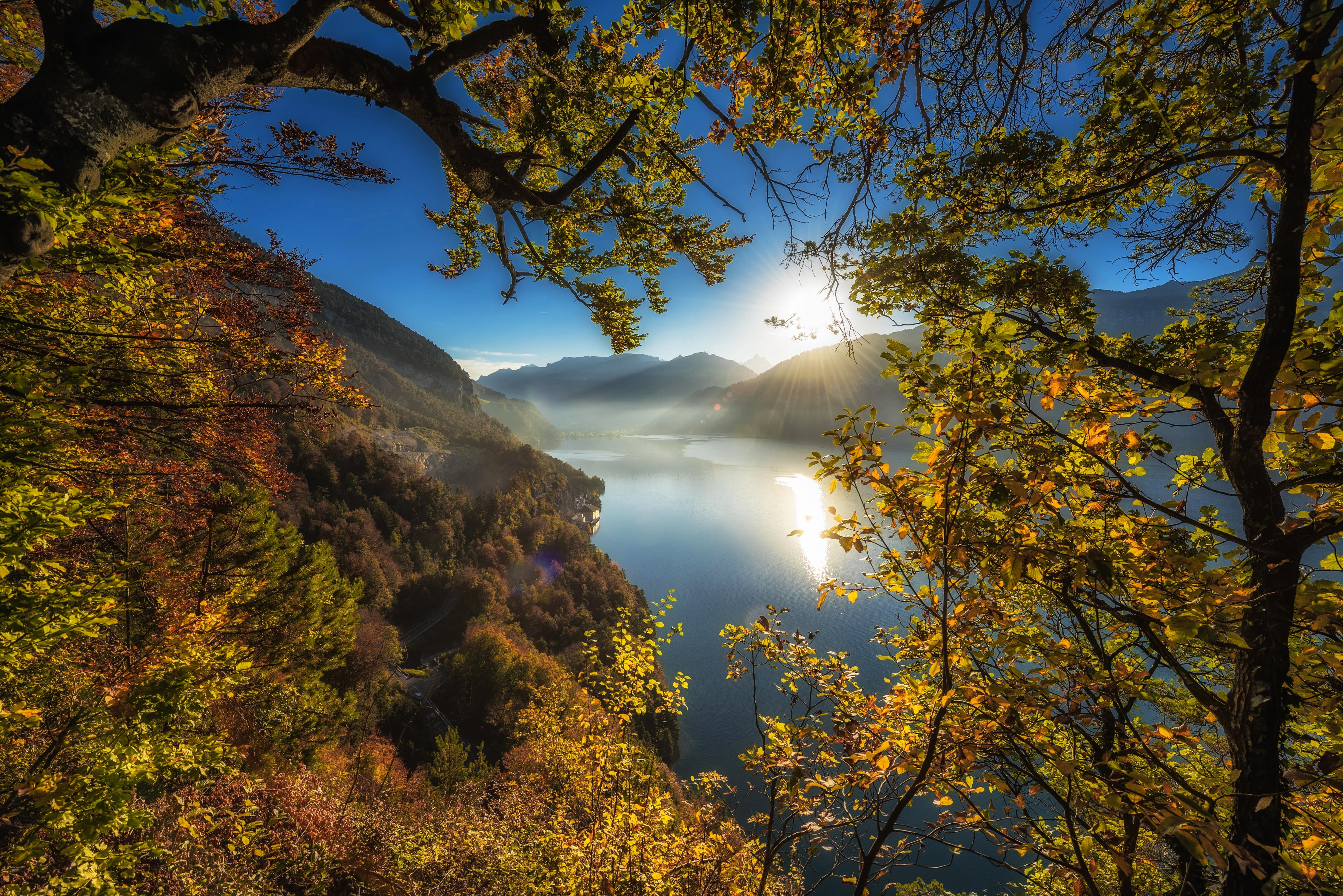 autumn, trees, mountains, branches, lake, Switzerland, Lake Thun