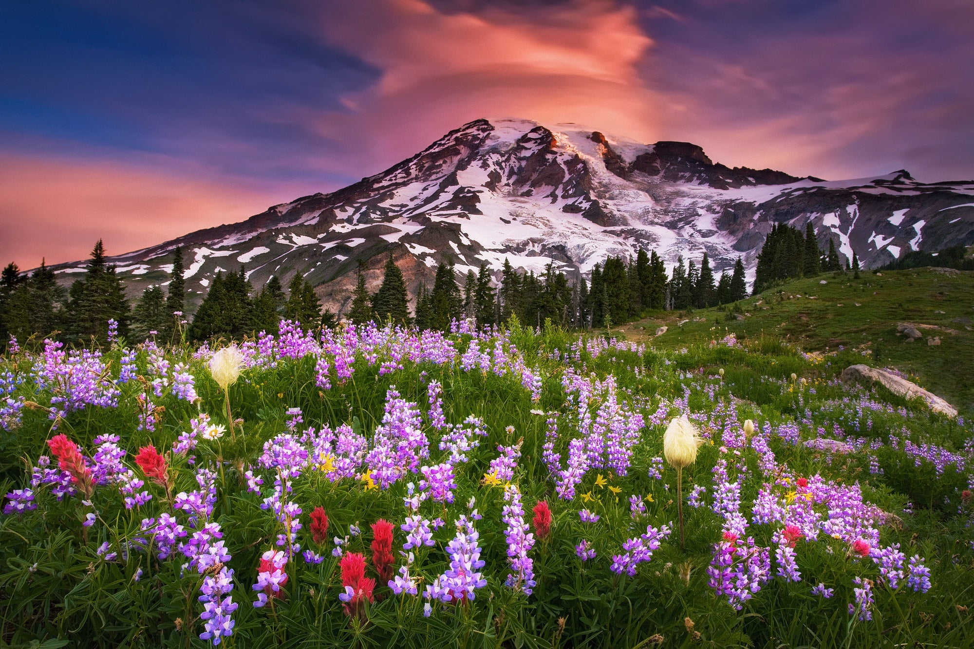 summer, the sky, clouds, flowers, mountain, morning, USA, national Park