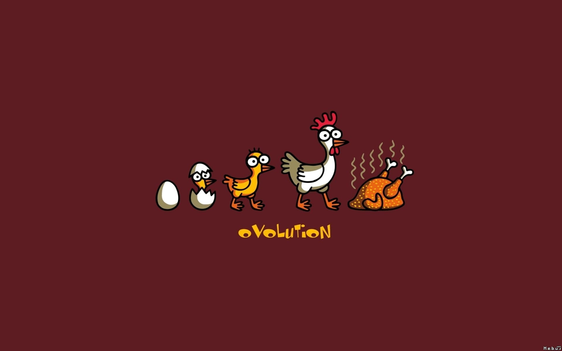 evolution humor, copy space, communication, no people, night