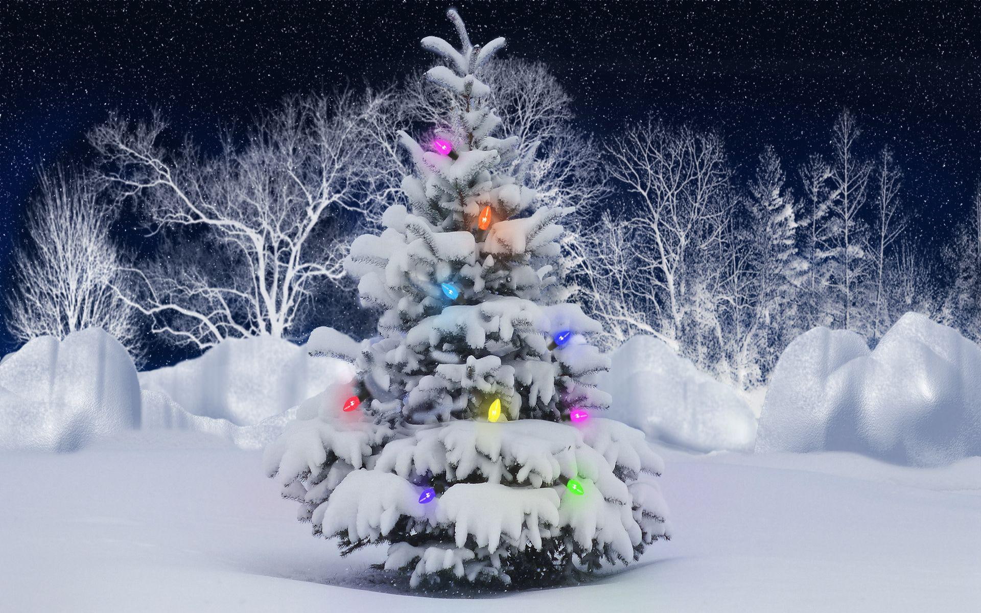 Outdoors Christmas Tree, snow covered pine tree painting, holidays