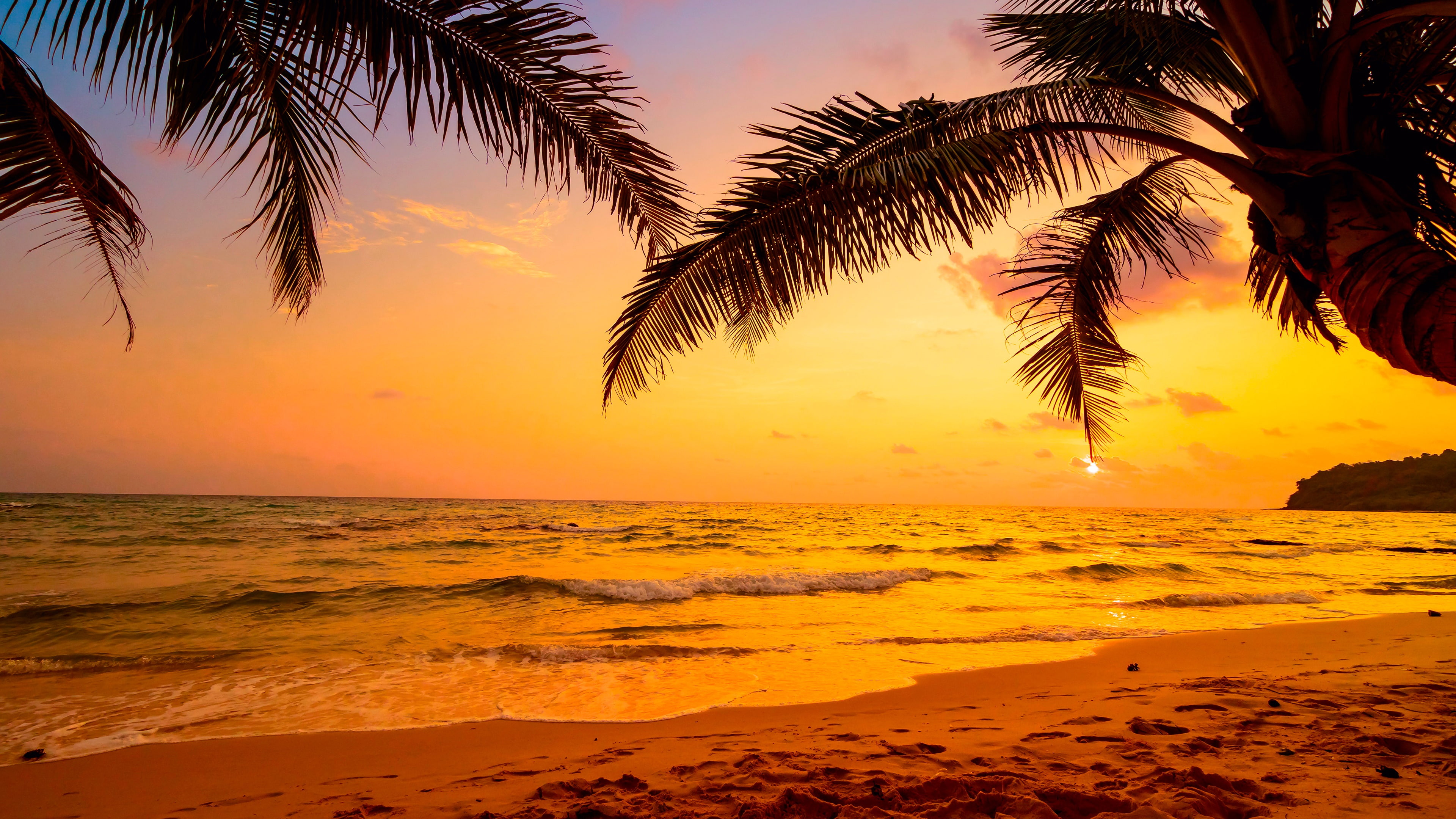 sky, sea, tropics, sunset, palm tree, arecales, tropical landscape