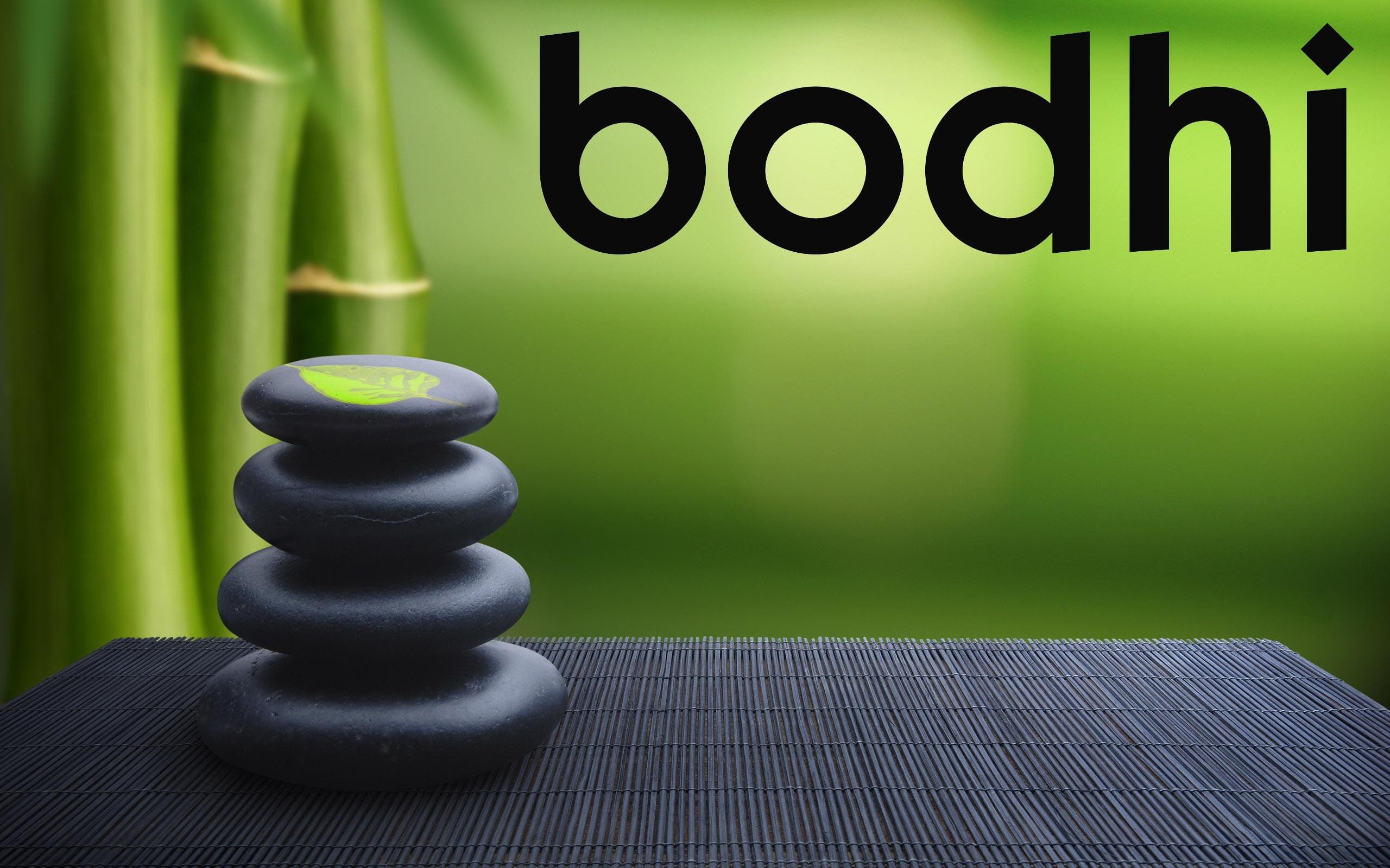 Bodhi Linux, GNU