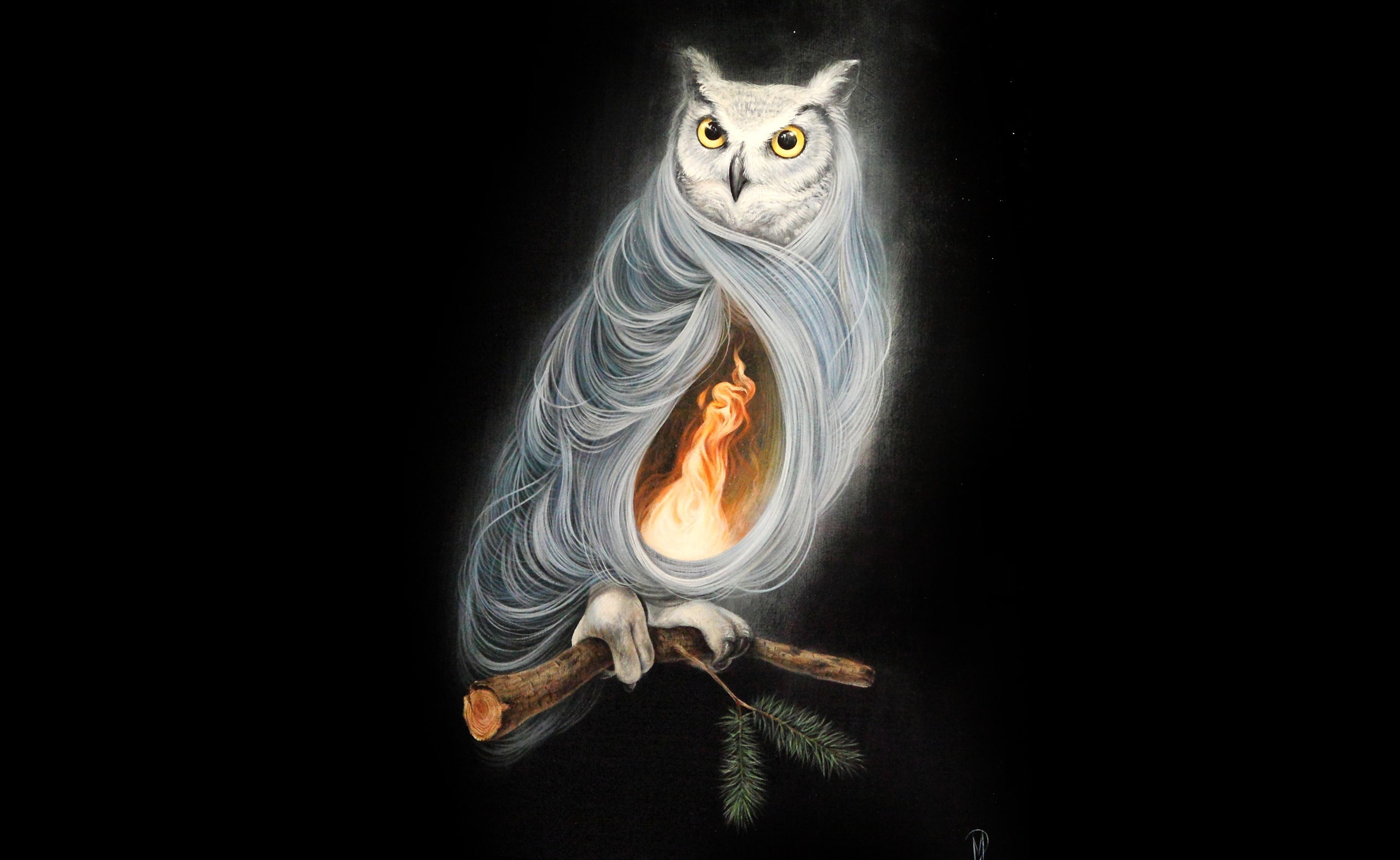 The Owls Are Not What They Seem by Dan May, white owl on tree branch digital wallpaper