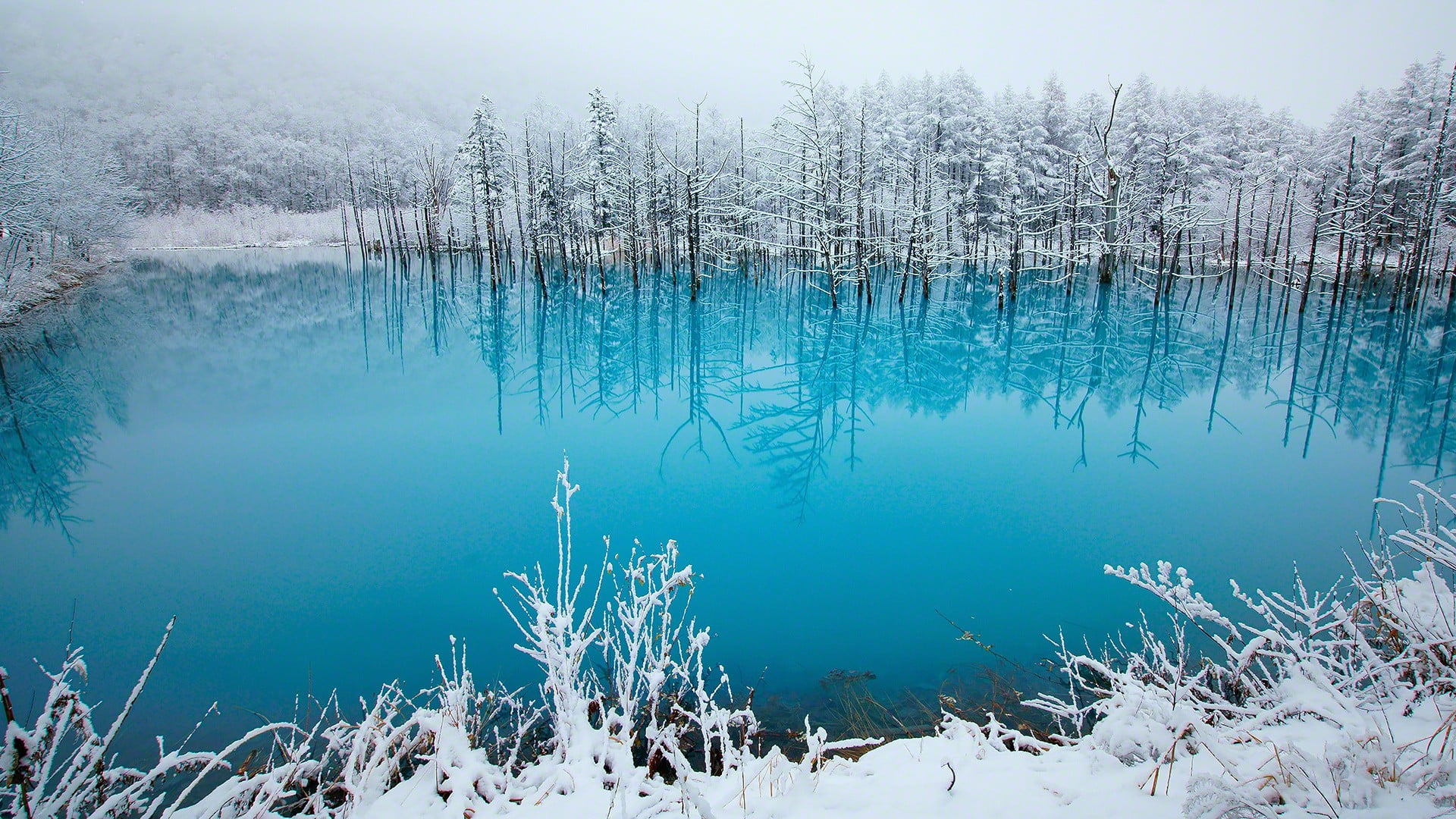 lake, winter, snow, ice, landscape, nature, water, tranquility