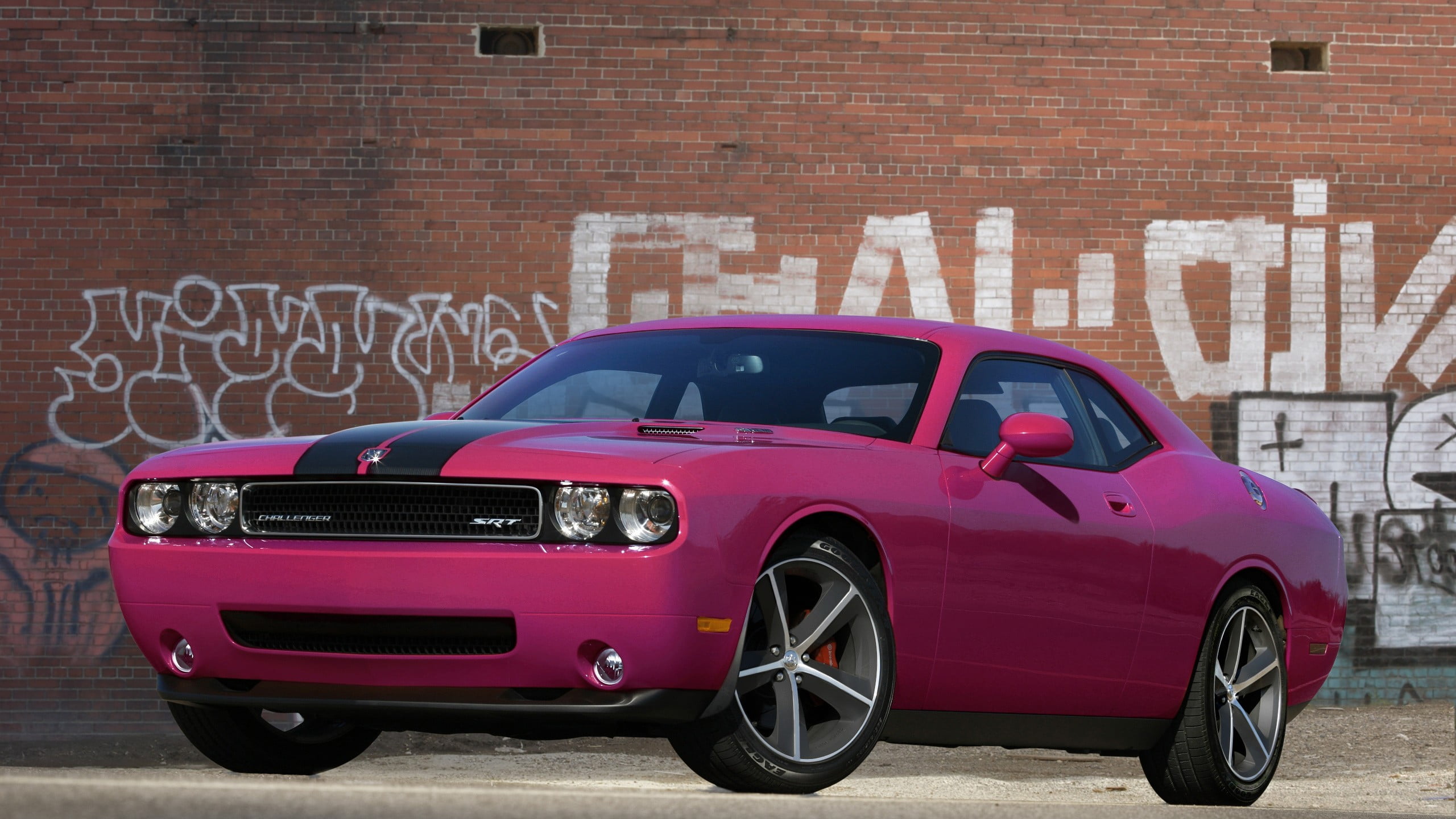 pink and black coupe, car, Dodge, Dodge Challenger, muscle cars