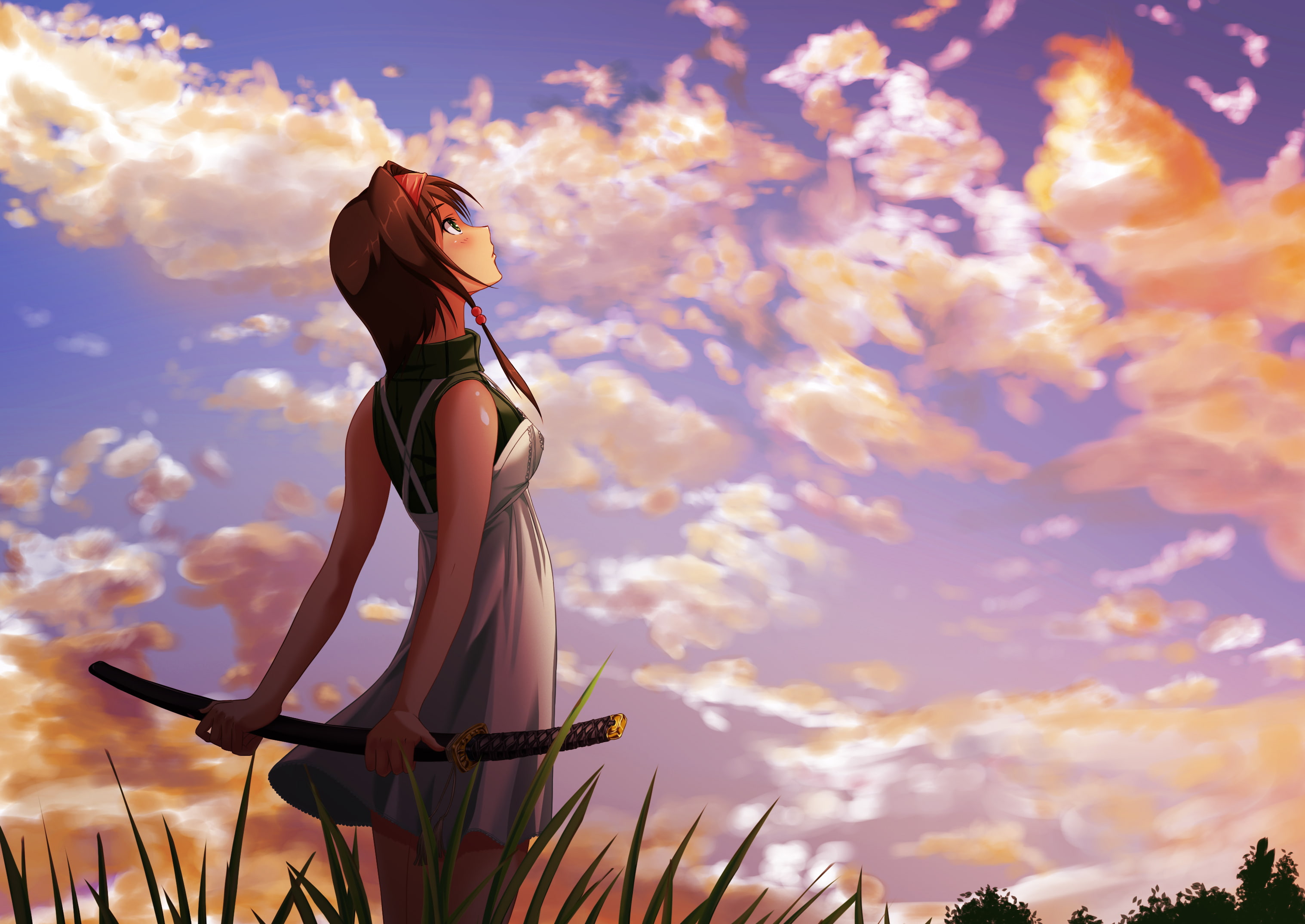 brown haired girl holding katana illustraiton, the sky, grass