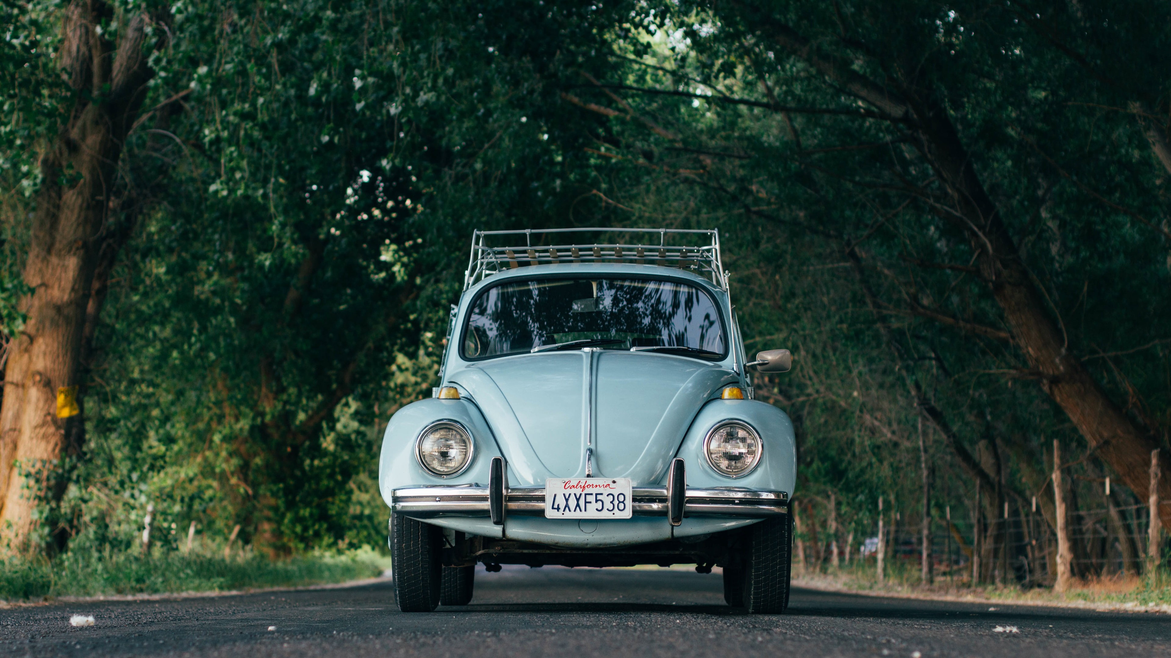 photography car volkswagen volkswagen beetle california licence plates