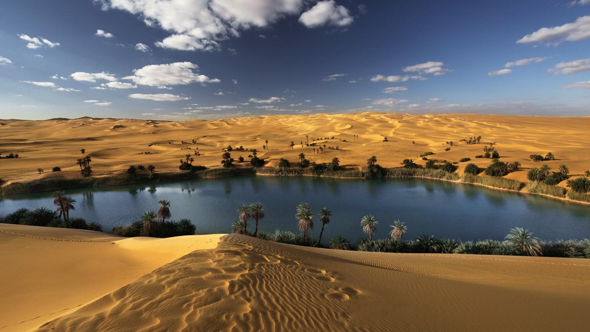 Desert Oasis Water Landscape Cgi 3d Gallery, lakes