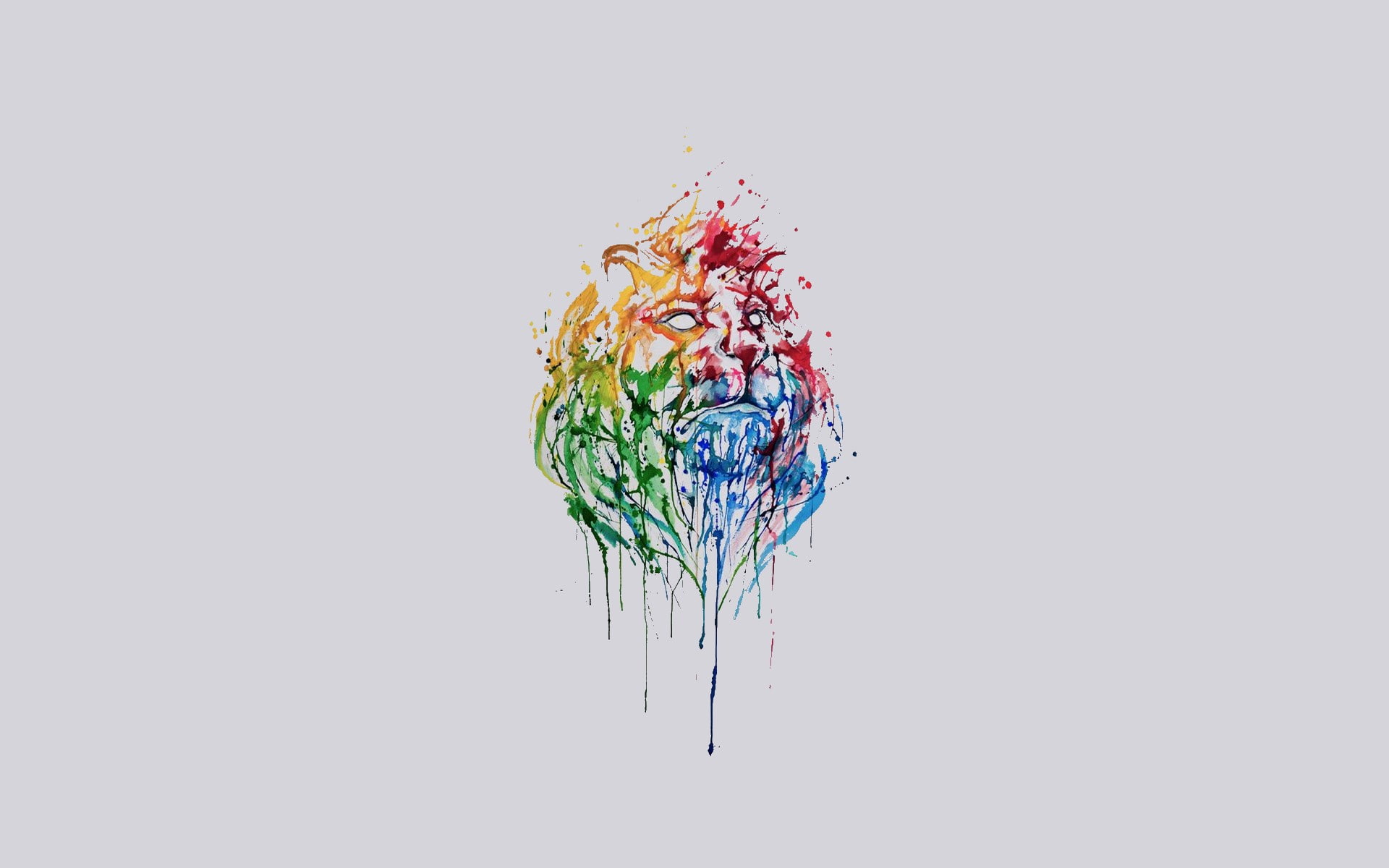 lion