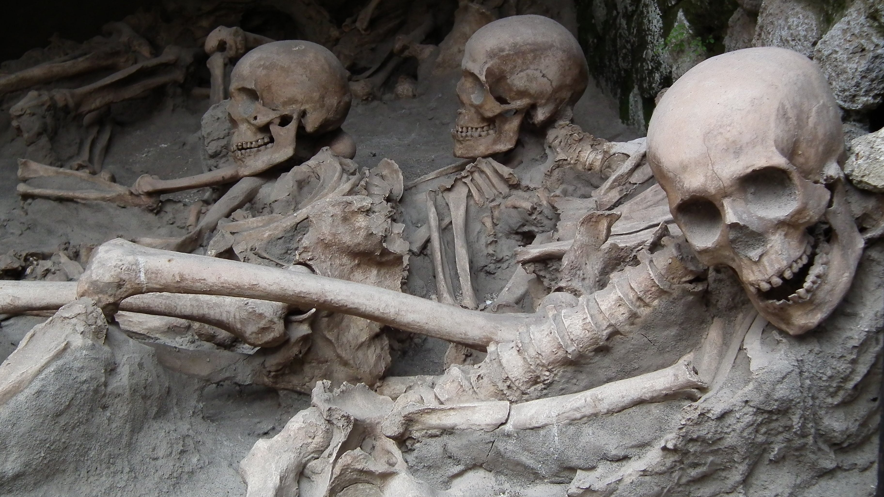 skeleton