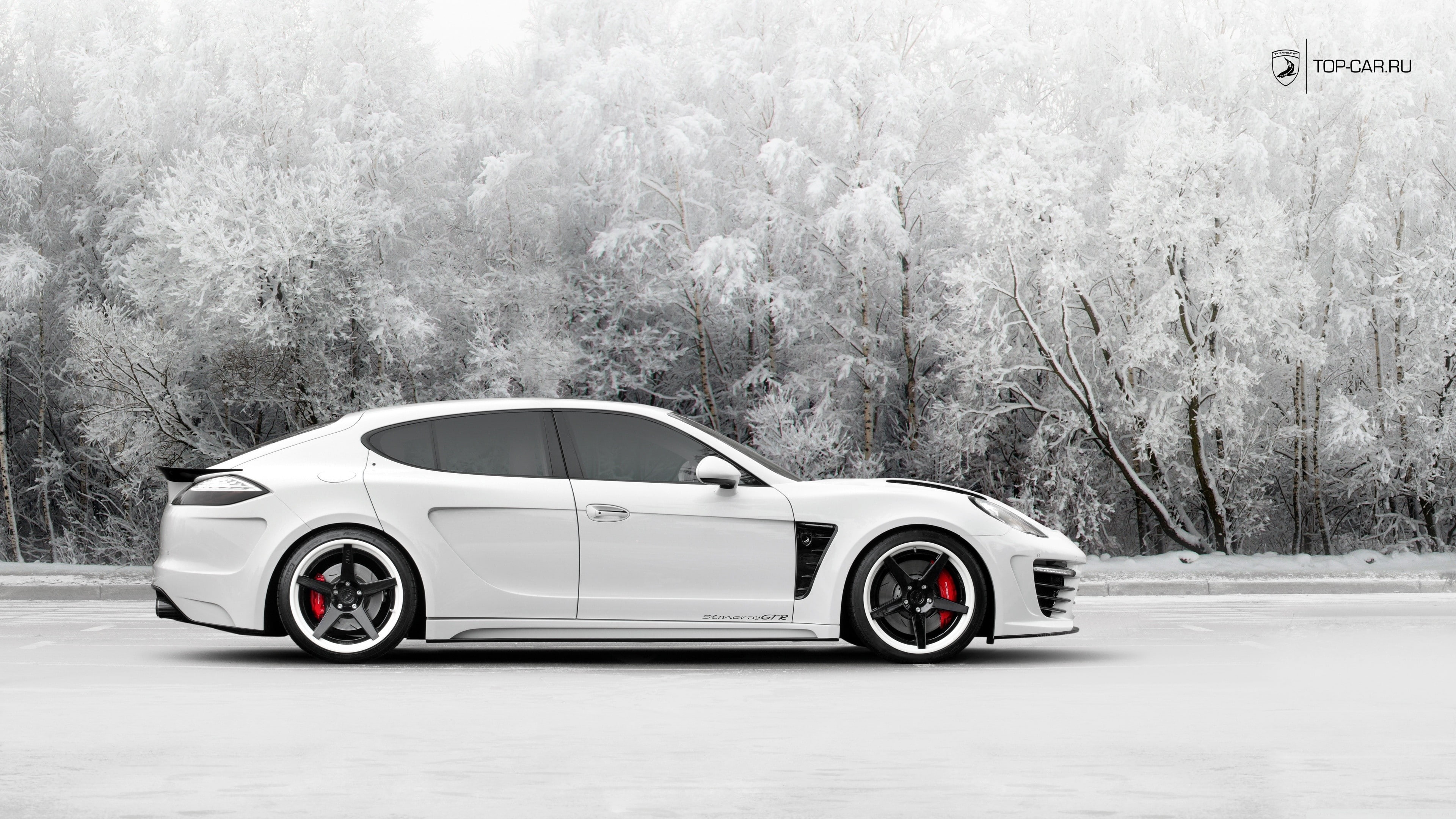 Porsche, Porsche Panamera, White Cars, Winter, Side View