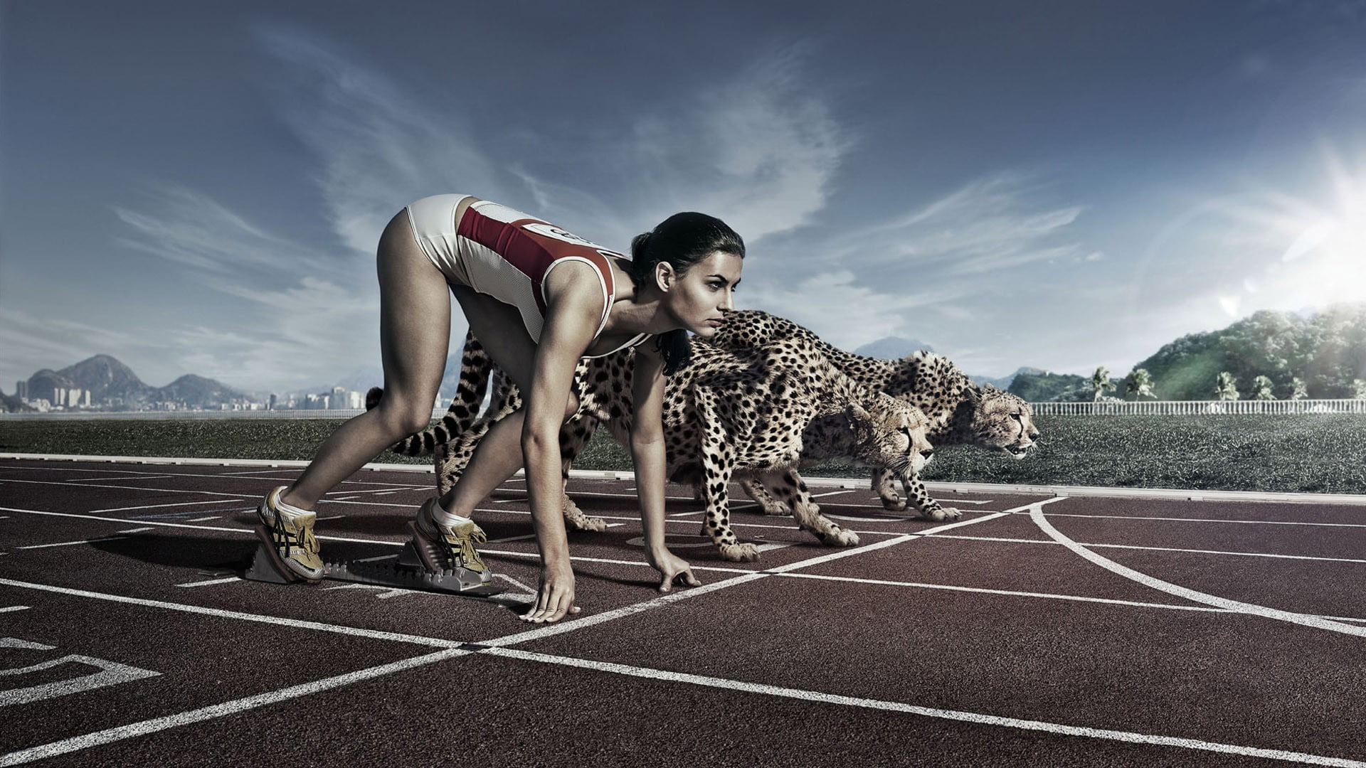 female track and field athlete and two cheetahs digital wallpaper