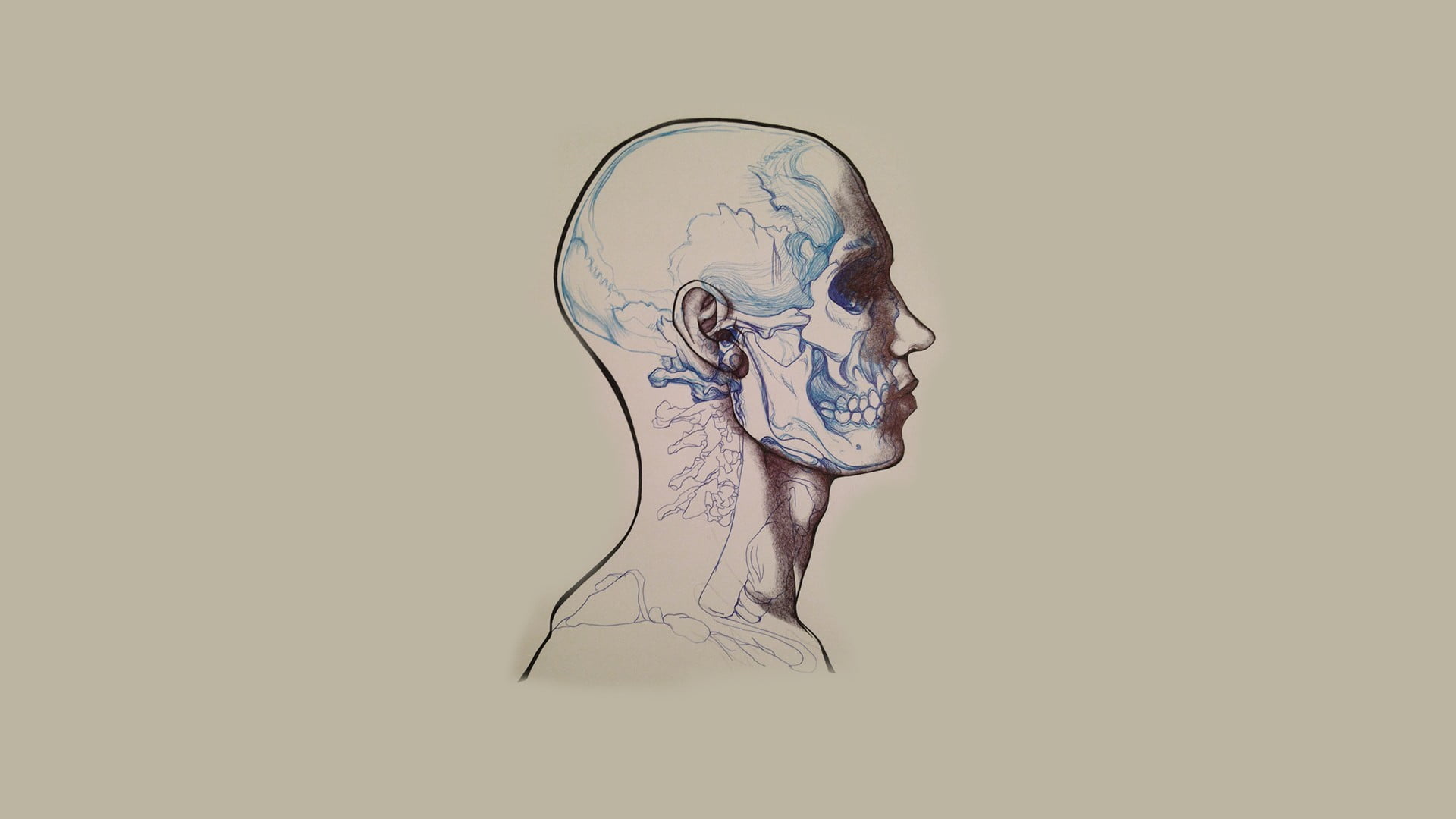 painting of head, skull, minimalism, artwork, studio shot, digital composite