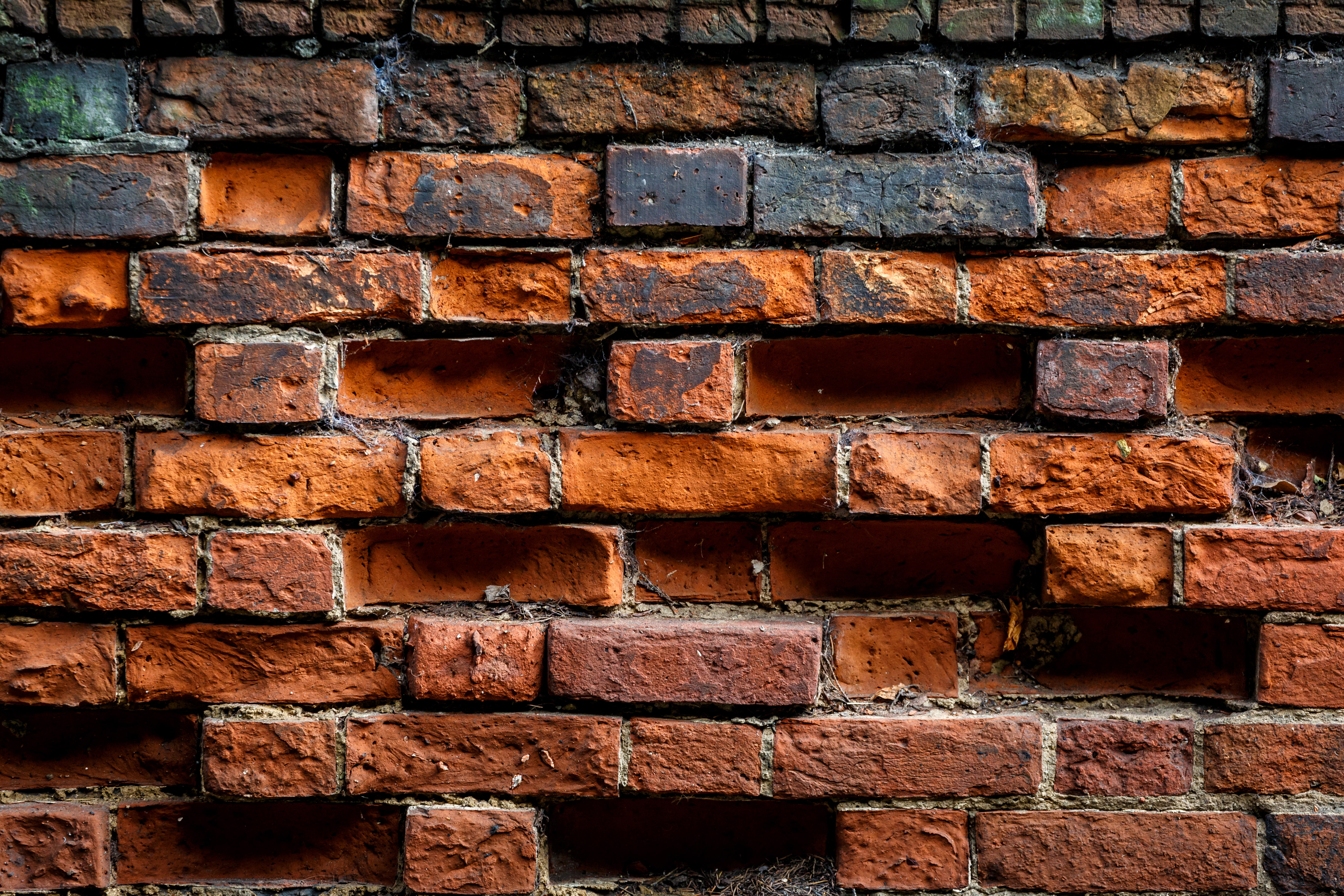 orange brick wall, background, color, bricks, backgrounds, wall - Building Feature