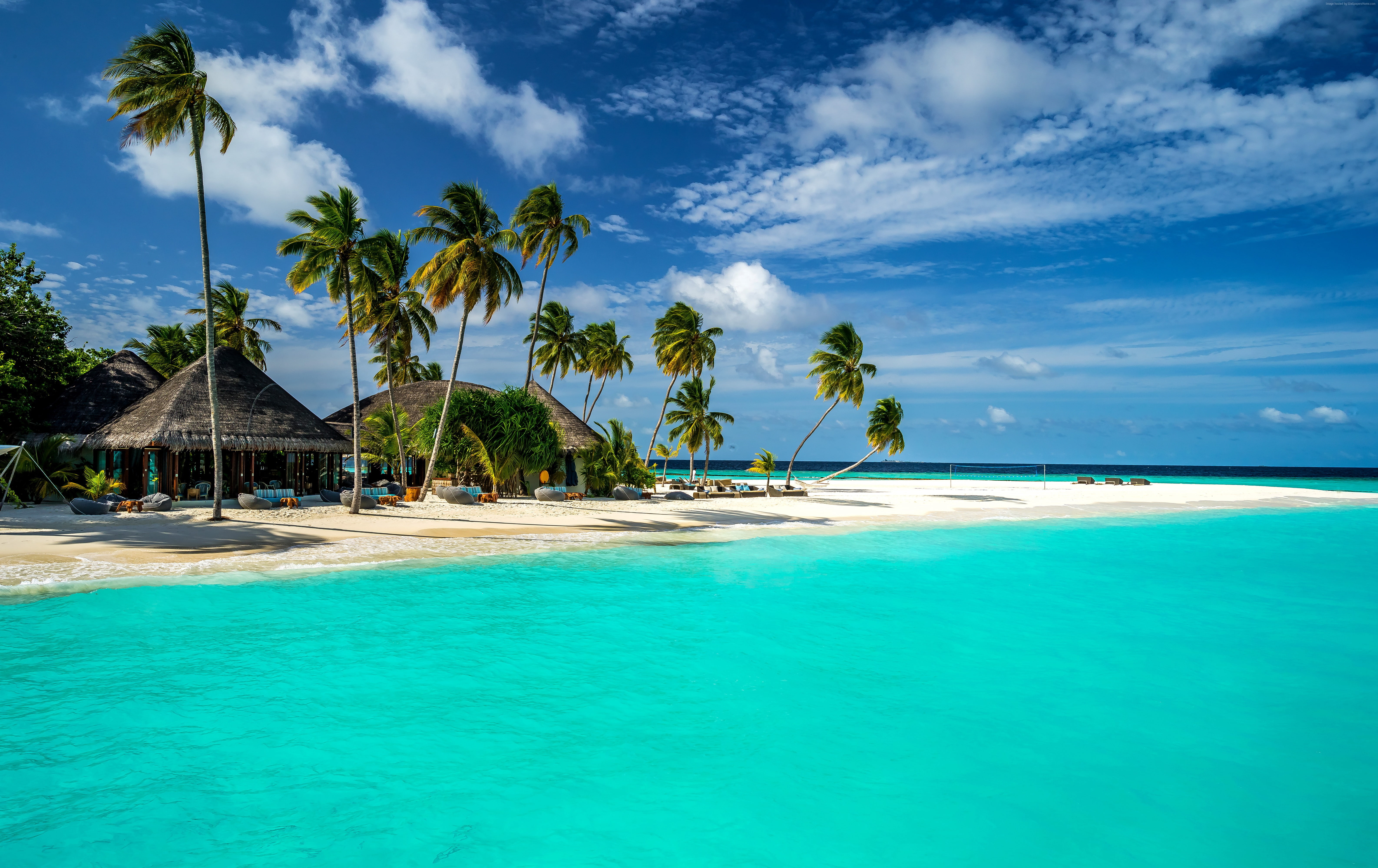 4k, Maldives, shore, sky, Indian Ocean, 5k, Best Beaches in the World palms