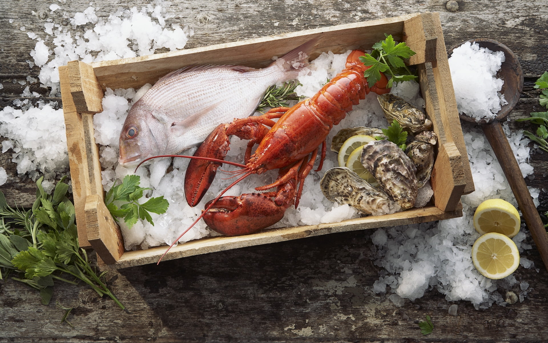 crayfish and gray fish, lobster, mussels, ice, seafood, box, freshness