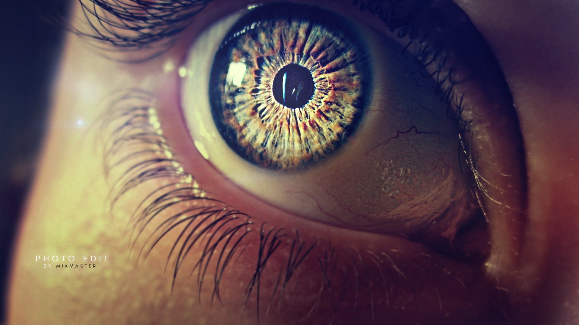 human eye, pupil, eyelashes, eyeball, iris - Eye, close-up, looking