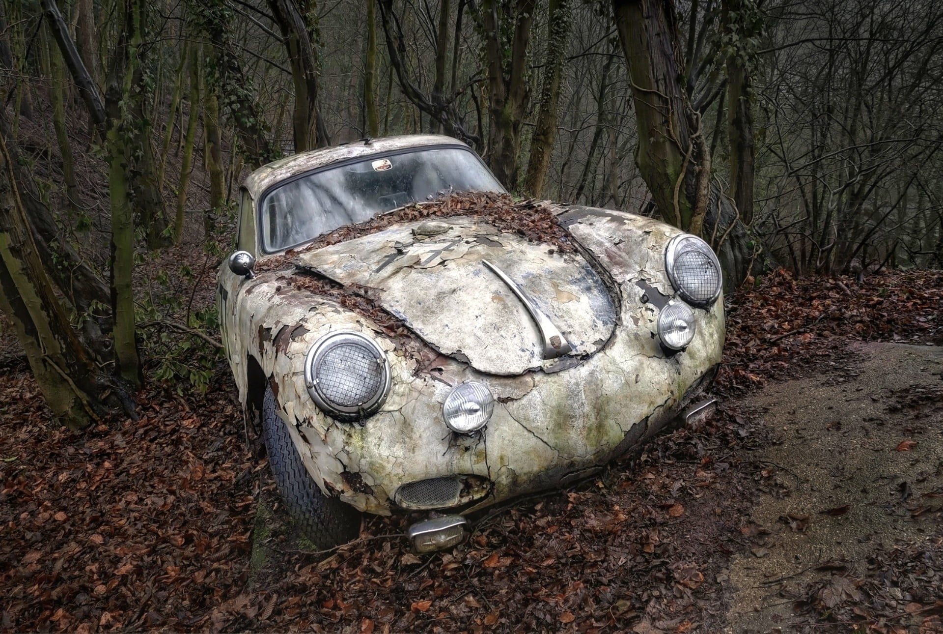 beige Volkswagen Beetle hatchback, car, wreck, Porsche, tree