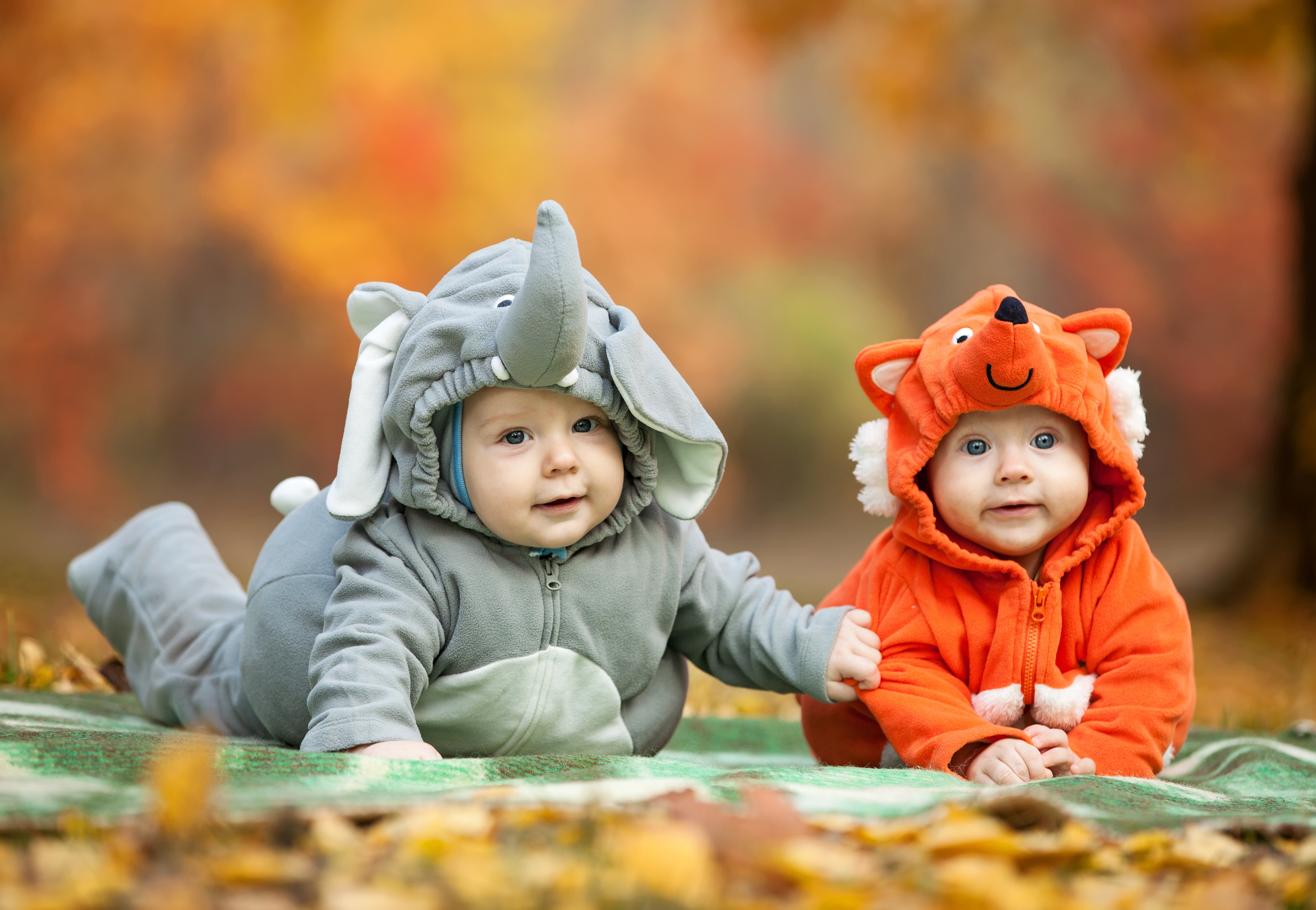 baby's grey elephant and red fox pram suits, children, positive