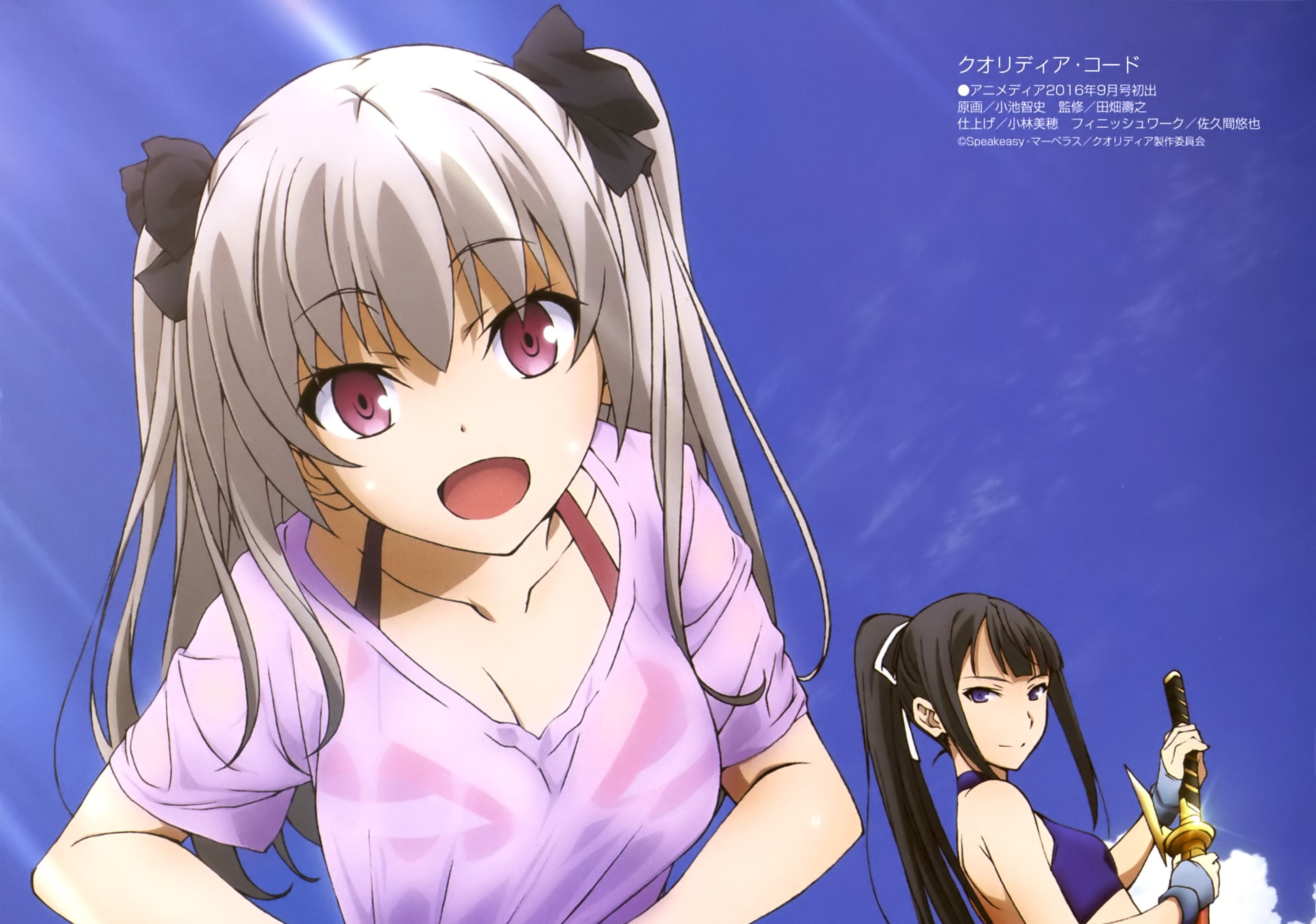 qualidea code