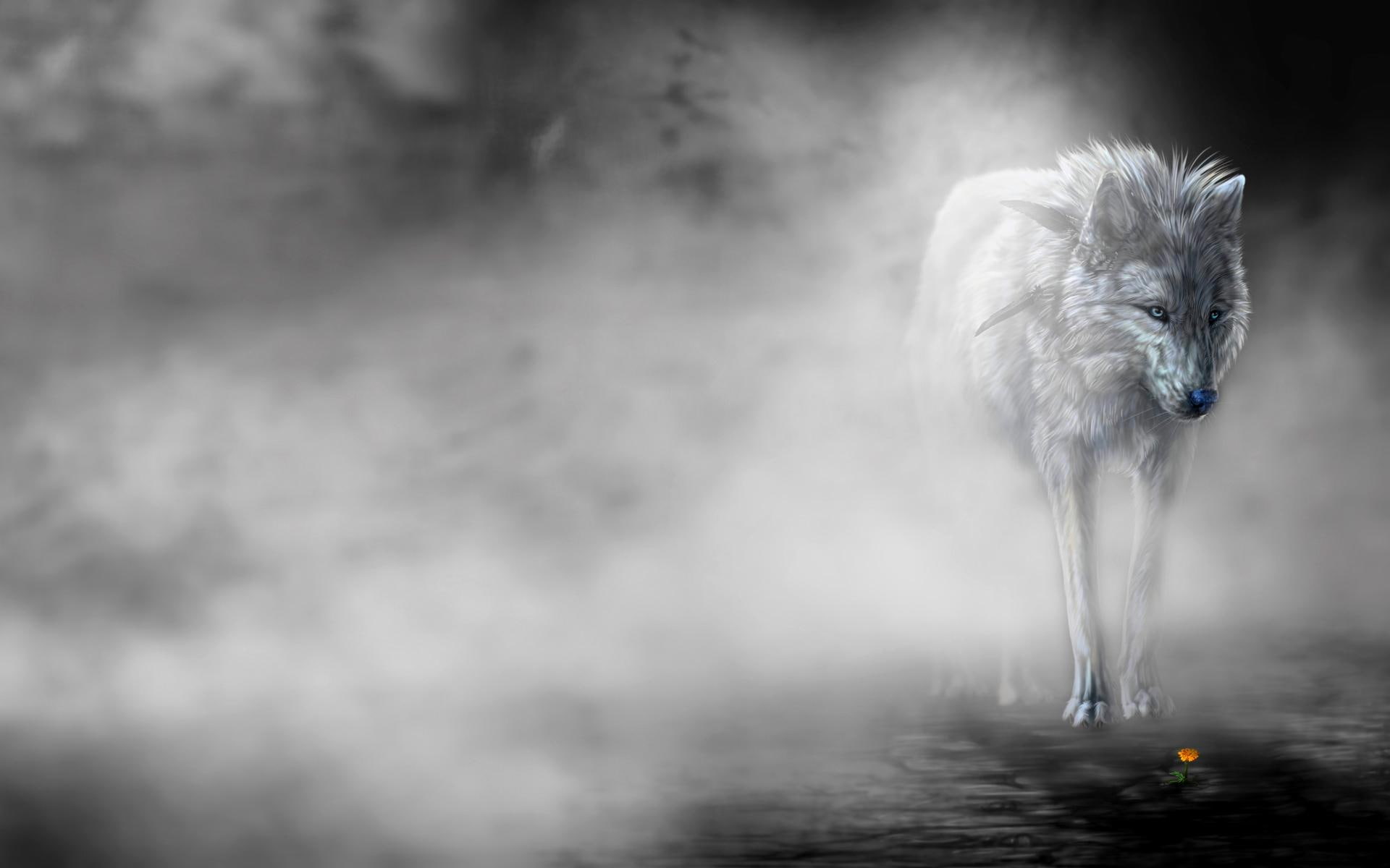 Lonely Wolf In The Mist, flower, 3d and abstract