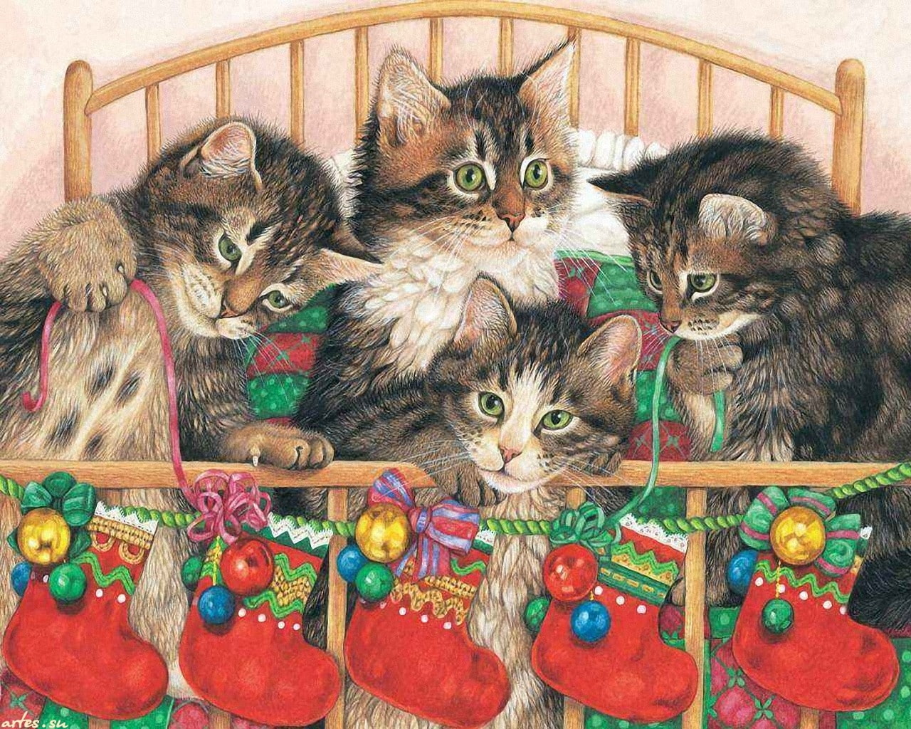 kitties in bed Animals cats Christmas time Four painting Pets ribbon socks HD