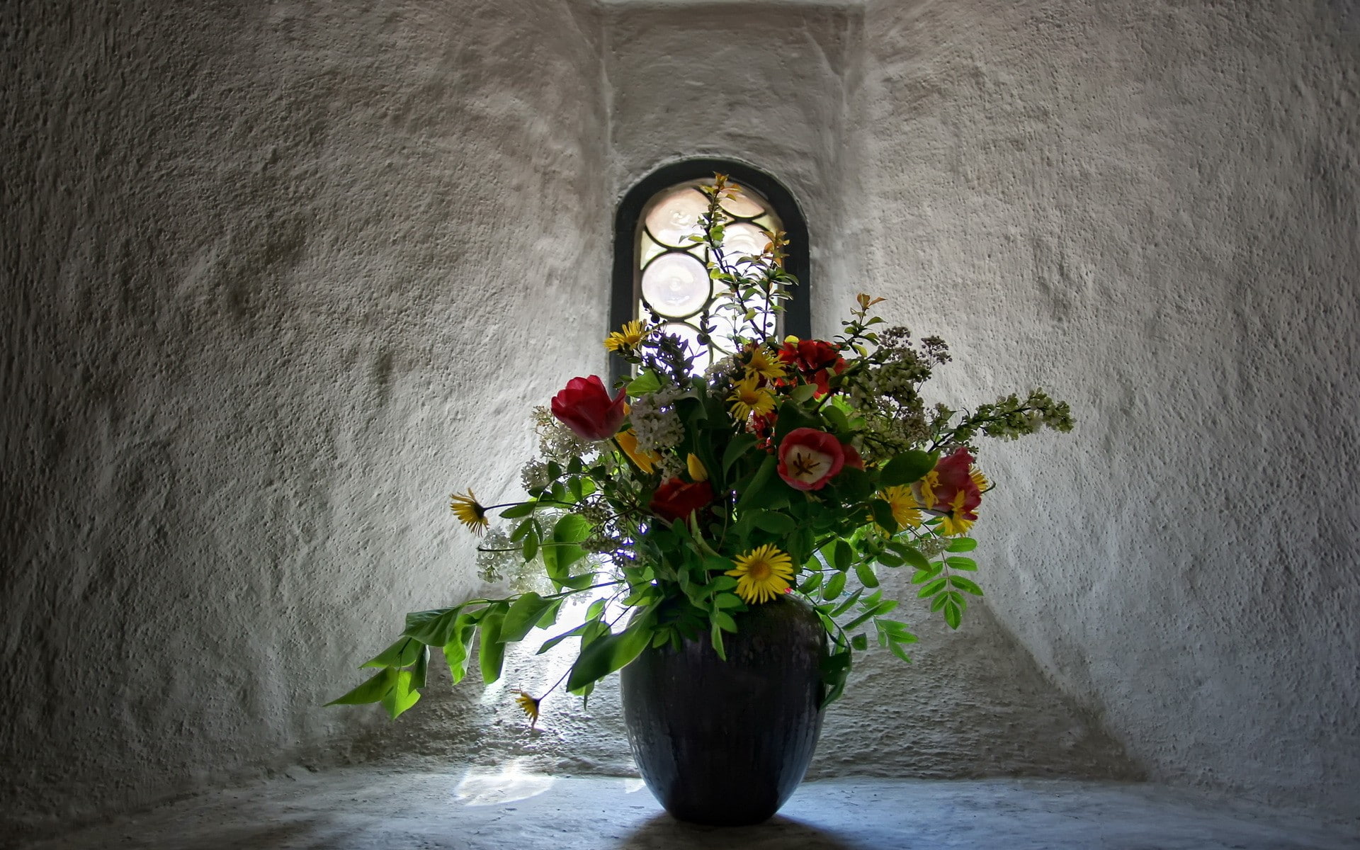 window, flowers, flowering plant, vase, nature, wall - building feature