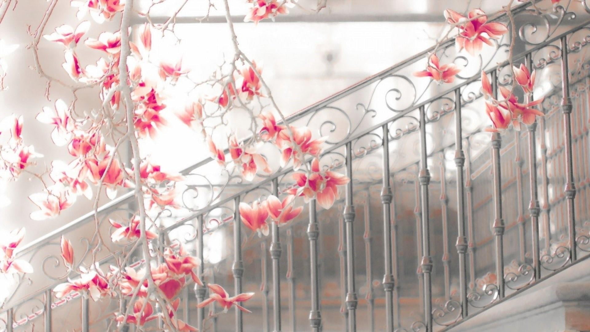 magnolia, stairs, fences, spring