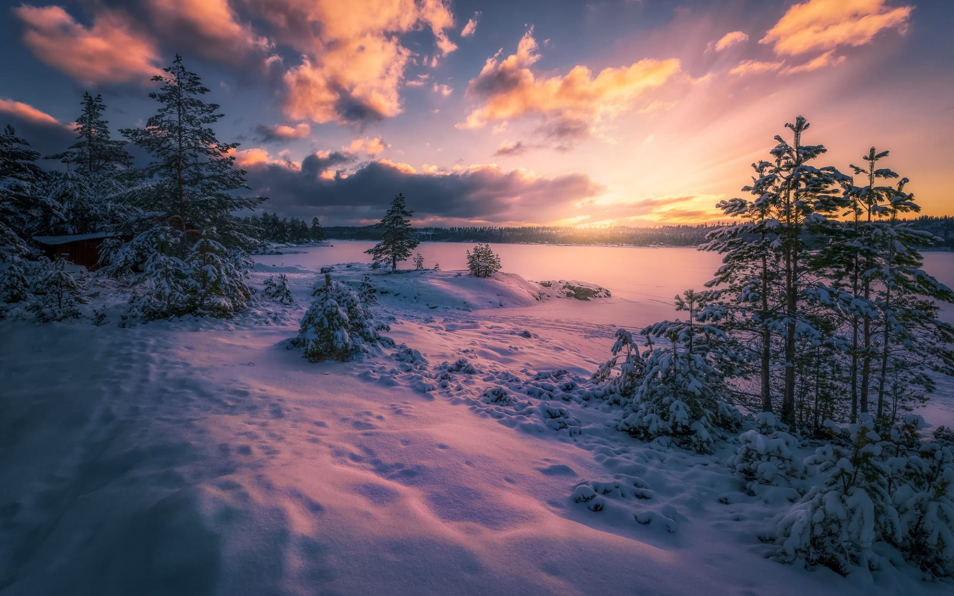 nature, Norway, winter, landscape, snow, sunset, tree, beauty in nature