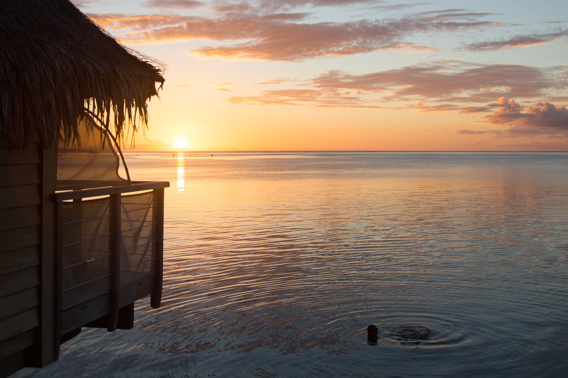 Bora Bora, pacific, sunset, sea, sunlight, water, sky, beauty in nature